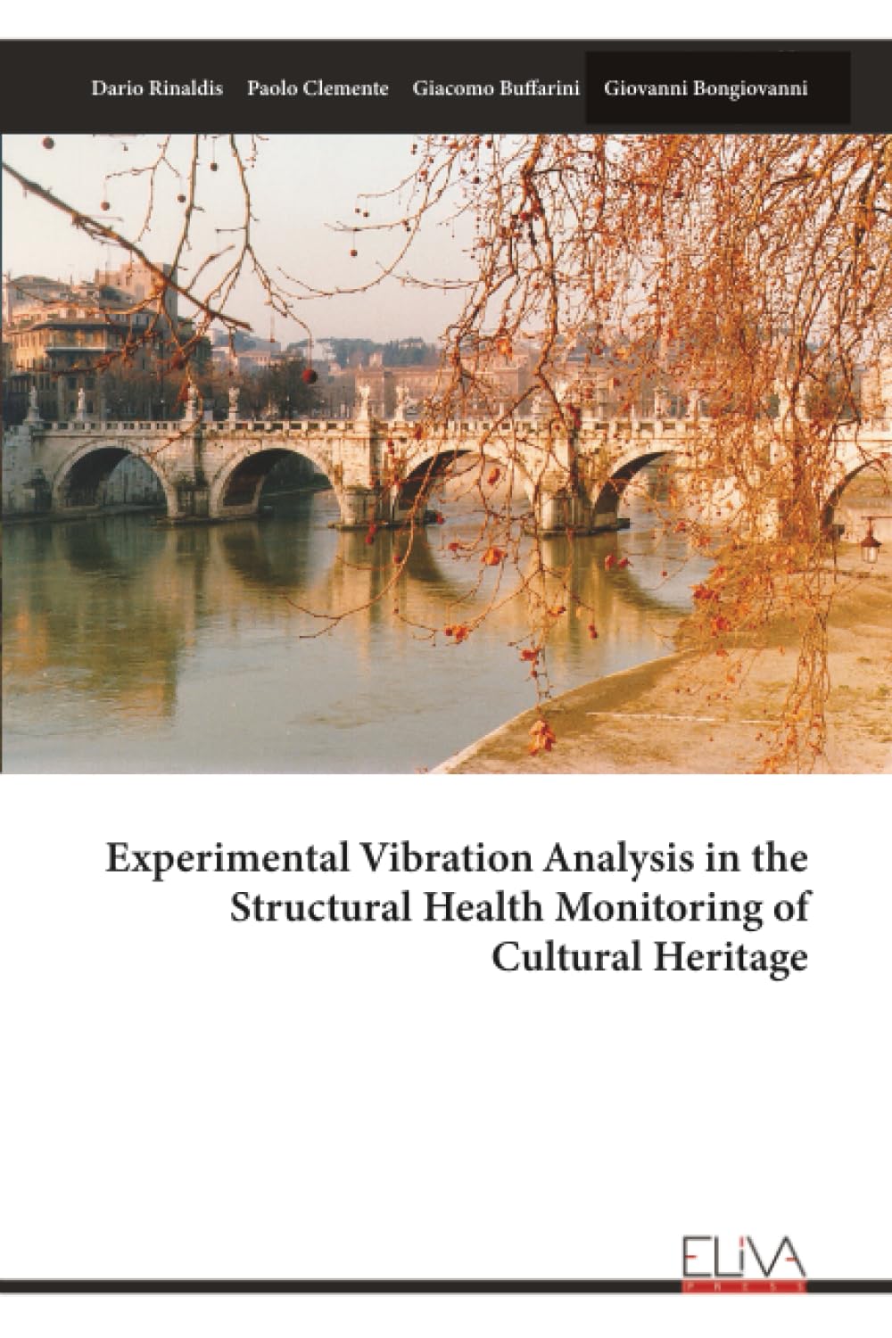 Experimental Vibration Analysis in the Structural Health Monitoring of Cultural Heritage