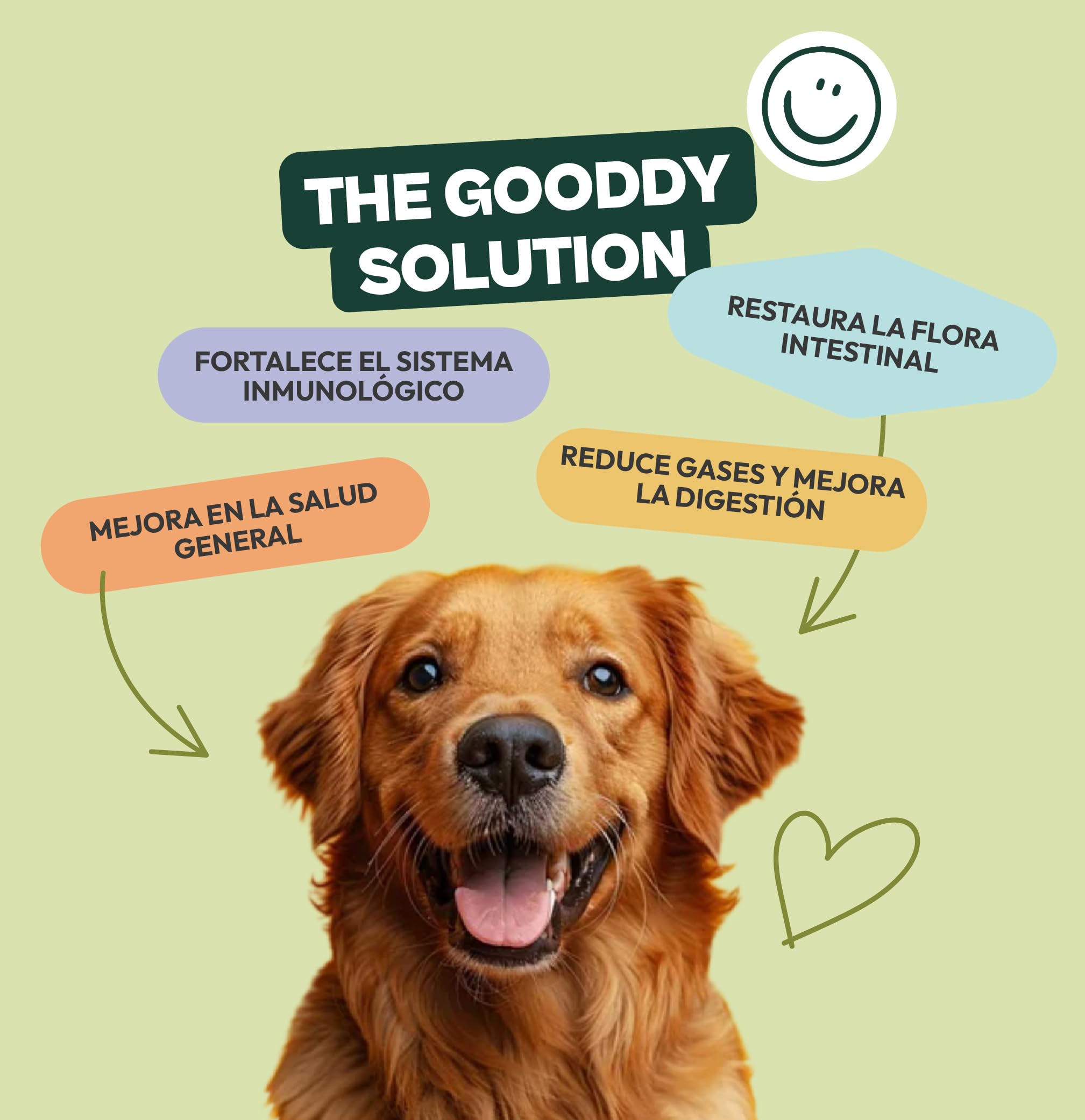 Snack Funcional masticable probiótico para Perros – 300 g – 8 cepas de bacterias, prebióticos y enzimas digestivas – favorece Salud intestinal, heces firmes y Sistema inmune
