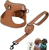 BELLA & PAL Dog Harness and Leash Set, Step-in Puppy Harness, Breathable Air Mesh with Reflective Strips, No Pull Vest for PuppiesExtra SmallSmall Dogs, Mocha, XXS