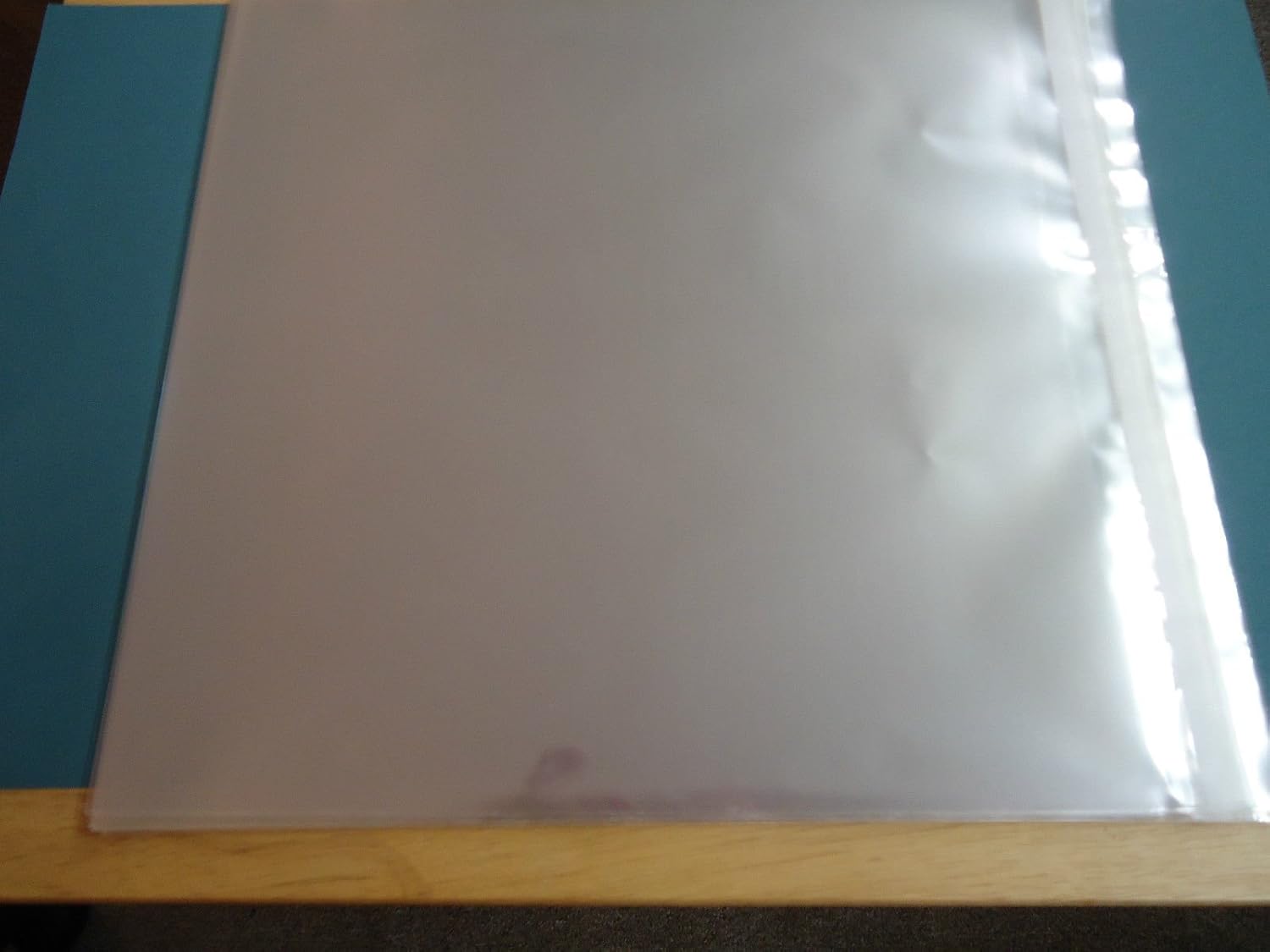 100 Clear Resealable Plastic Envelopes/Bags 12 x 12 NEW