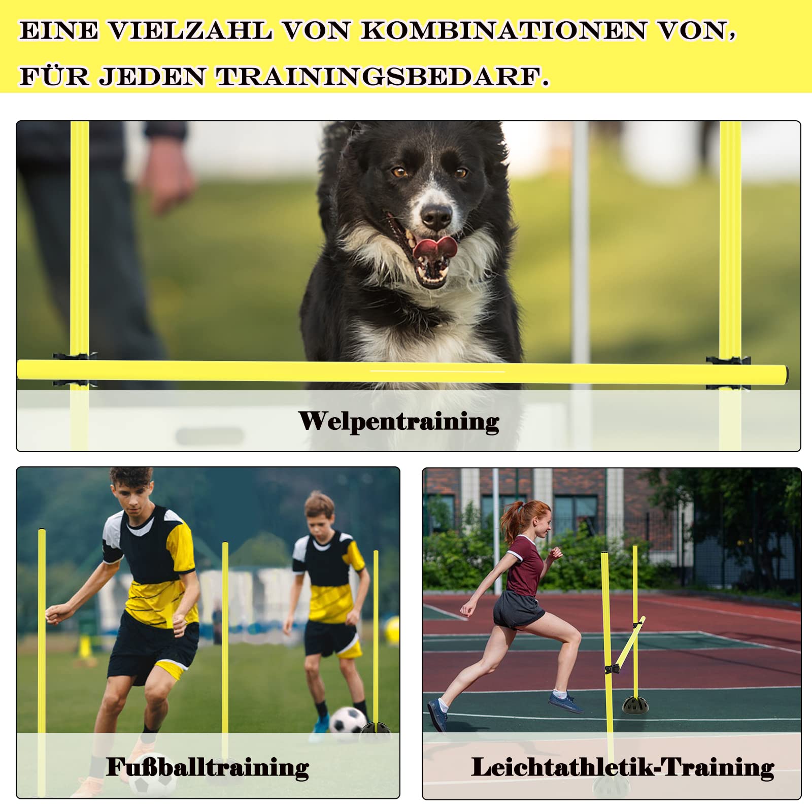 LILIIN Agility Kit d'équipement pour chien avec tunnel pour chien