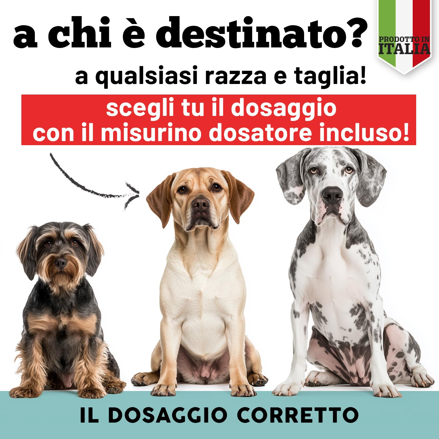 MyPetPrime | Integratore in Polvere | 12 Vitamine + 10 minerali Con Alga Spirulina | per la dieta Casalinga e Barf integra | 220g