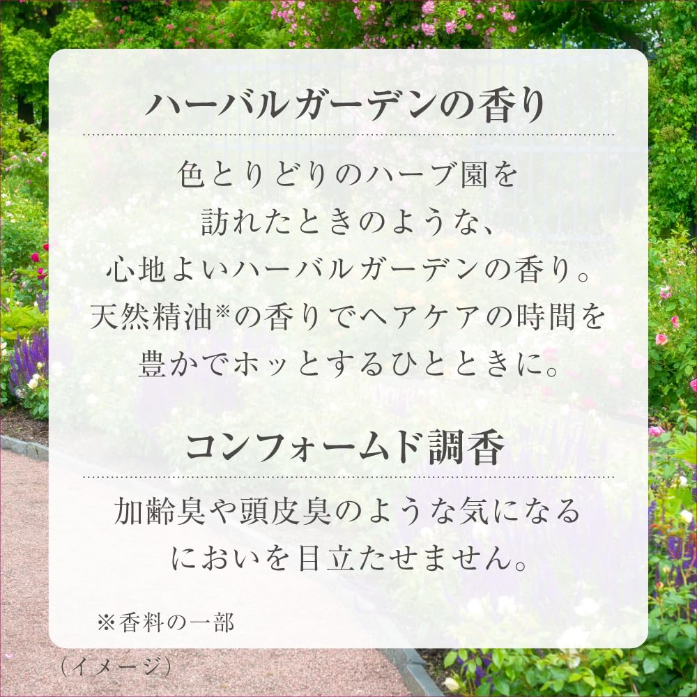 Amazon.co.jp: トワニー ボリュームメイクシャンプー レフィル