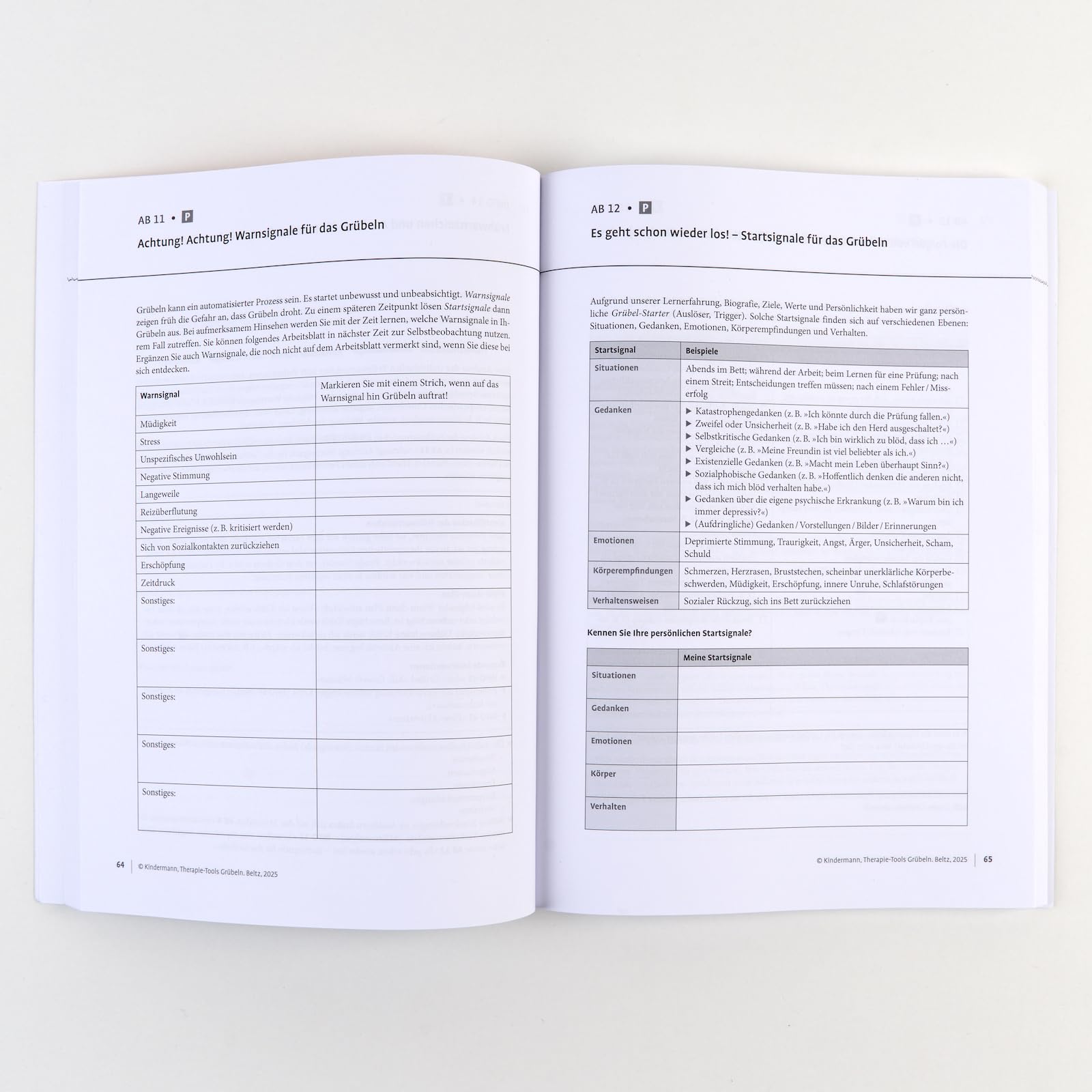 Therapie-Tools Grübeln: Mit E-Book inside und Arbeitsmaterial (Beltz Therapie-Tools)