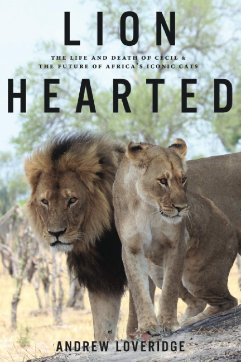 Lion Hearted: The Life and Death of Cecil & the Future of Africa's Iconic Cats