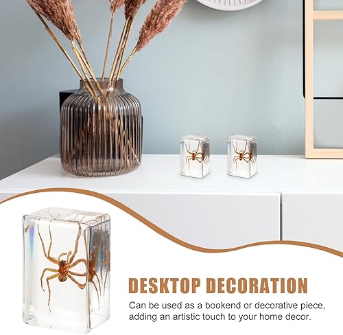 Miniatura 7 de 2pcs araña espécimen decoración pisapapeles oficina biología ciencia profesor educación decoración del hogar