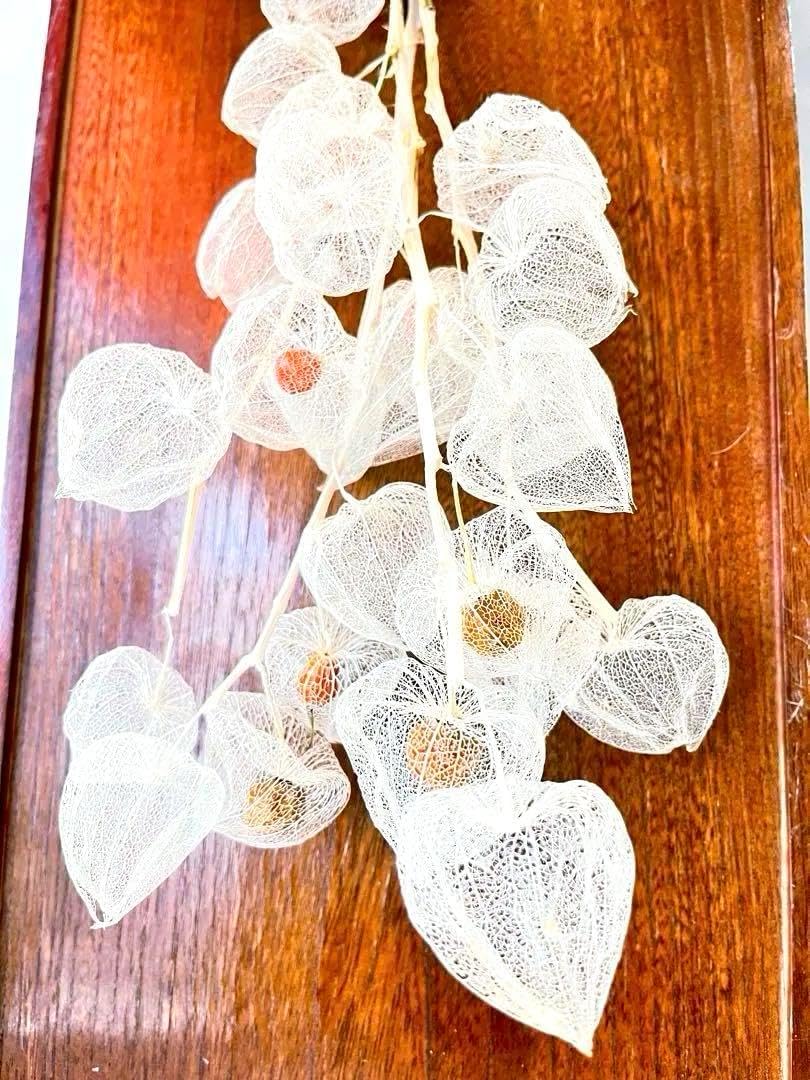 ホルムガード 花瓶 クロスベース S スモーク 1点 フラワーベース 花入