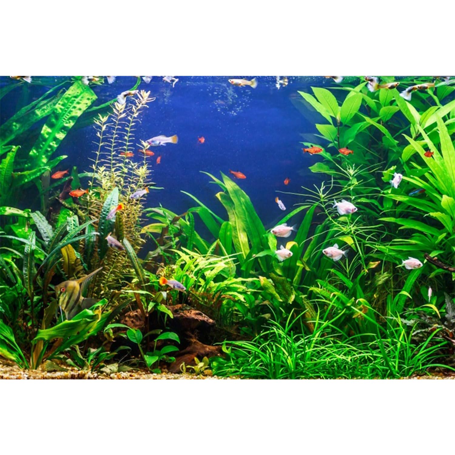MIRRORANG 91x41cm Aquarium Background Aquatic Plant Sea Aquarium Underwater Background River Bed & Lake Fish Tank Background — image 1