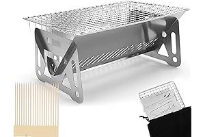 The Mini Masterpiece: Miniature BBQ Grill for a Gourmet Adventure