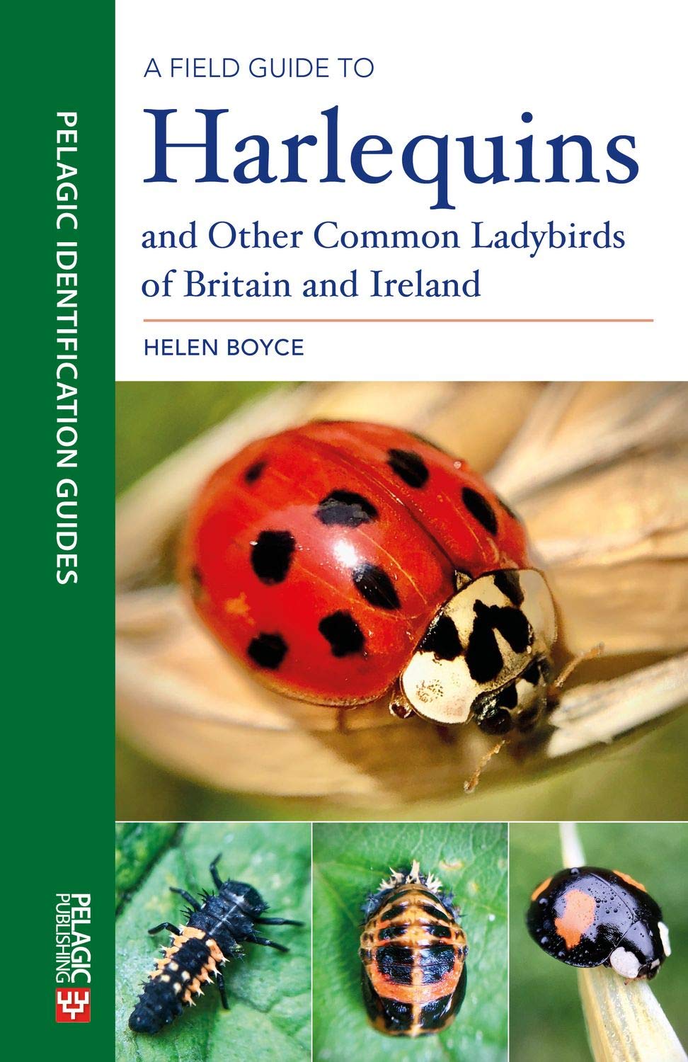 A Field Guide to Harlequins and Other Common Ladybirds of Britain and Ireland (Pelagic Identification Guides)