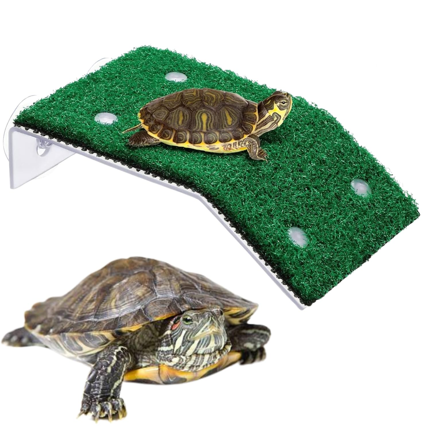 DreamAuro Turtle Habitat Enhancement, Aquatic Reptile Basking Dock, Floating Turtle Platform, Terrarium Enrichment, Pet Turtle Sunning Spot, Aquatic Habitat Enhancement, Turtle Tank Decor. (B0D1MVC7ZK) Amazon Price History, Amazon Price Tracker