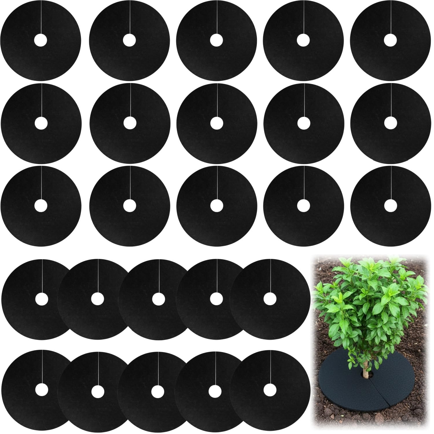 Yiqicomle 25 PCS Cabbage Plant Collars, 15 cm Diameter Mulch Rings for Slug, Snail Root Fly Deterrence, Weed Prevention, Ideal for Organic Gardening in Vegetable Gardens Flower Beds Potted Plants