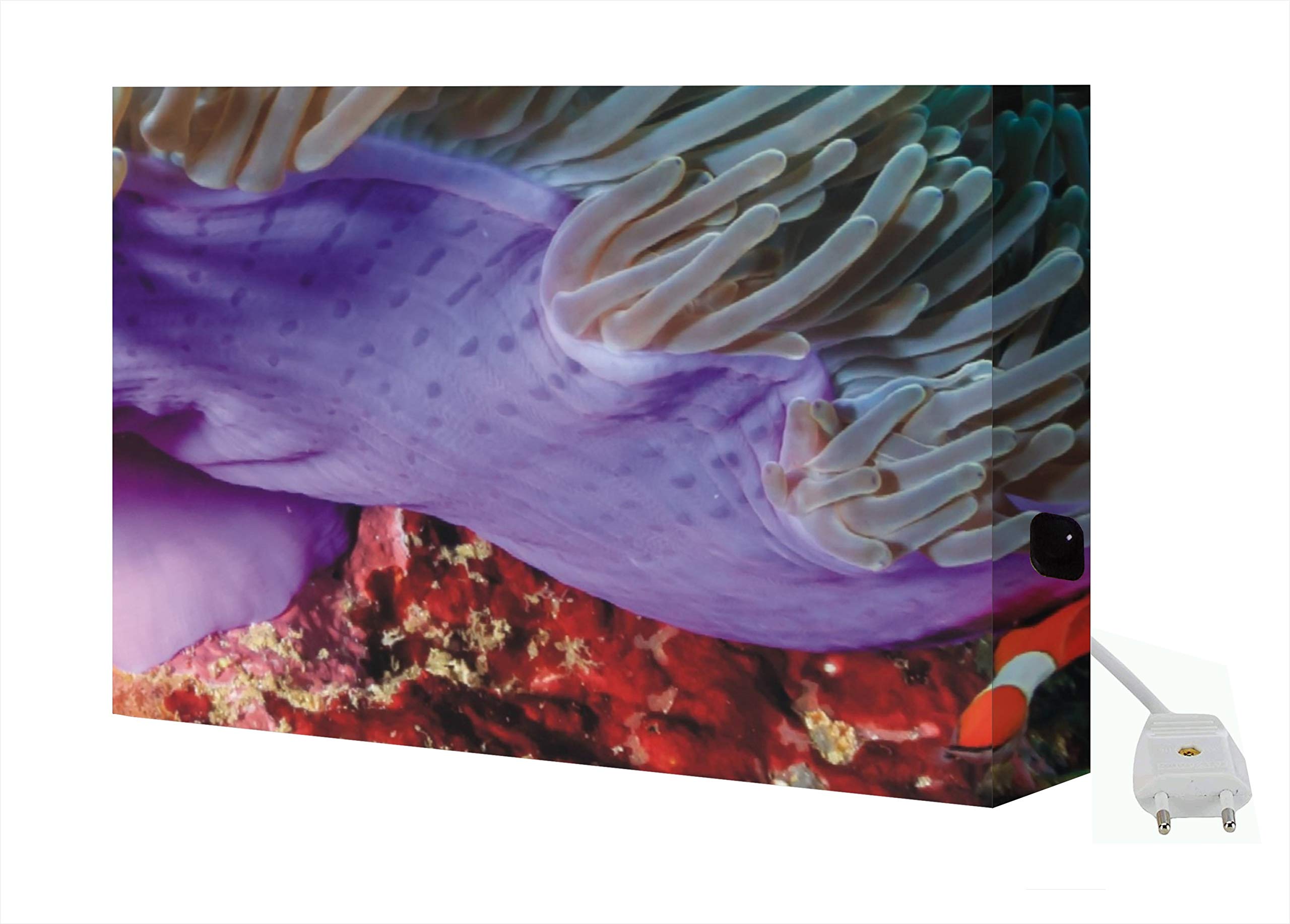 Quadro Retroilluminato Oceano