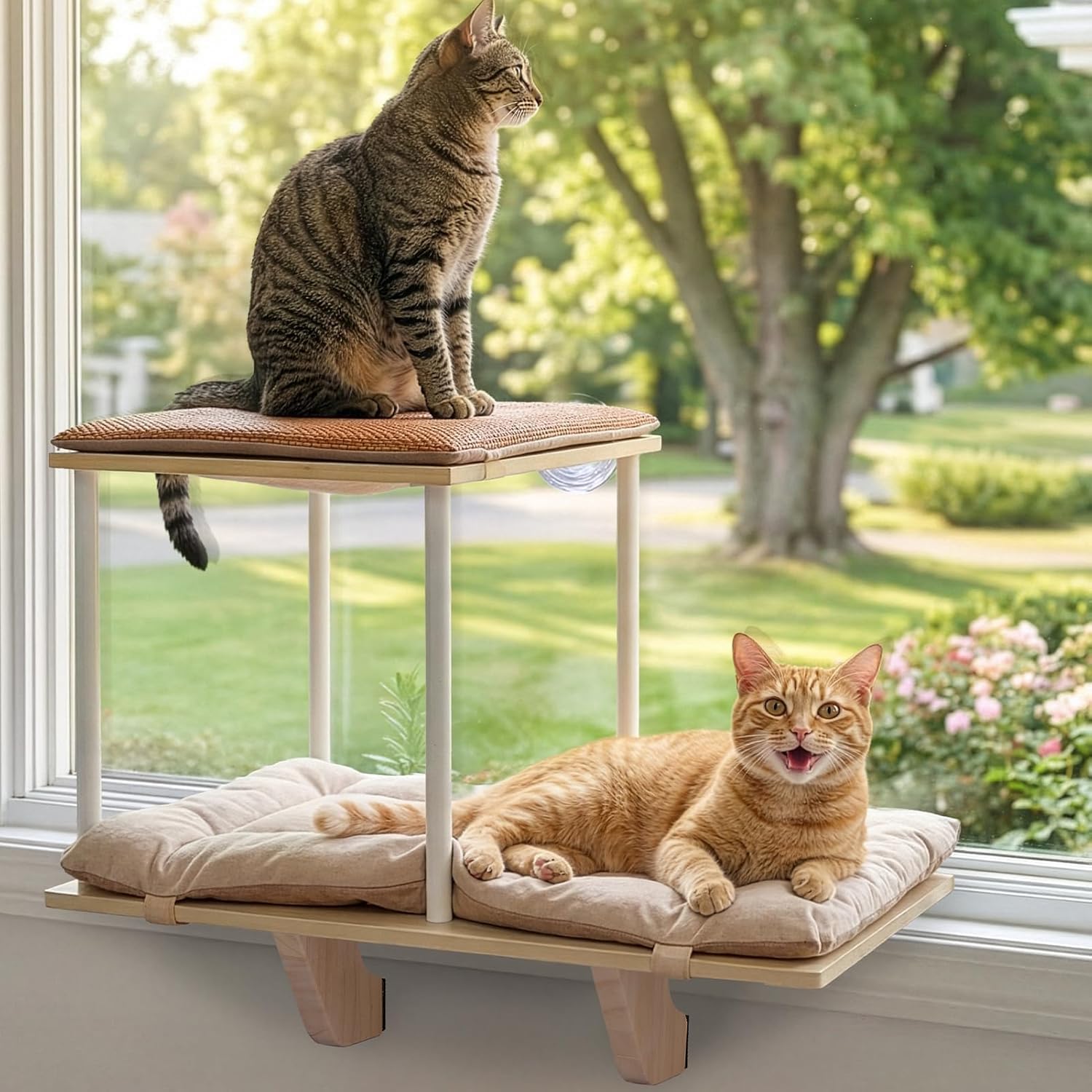 Petsfit 猫窓ベッド 多頭飼いの猫