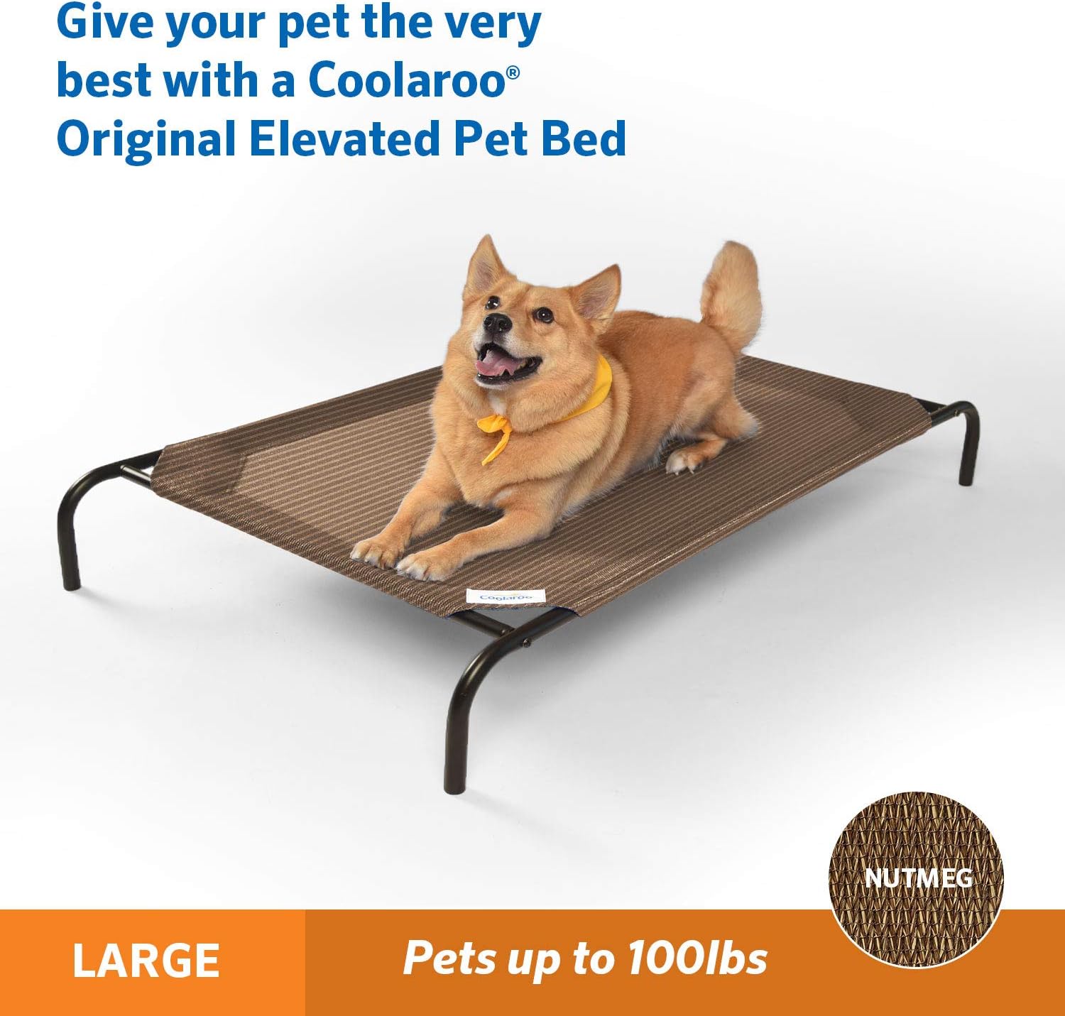 Beds The Original Elevated Pet Bed by Coolaroo Beds & Furniture Cats