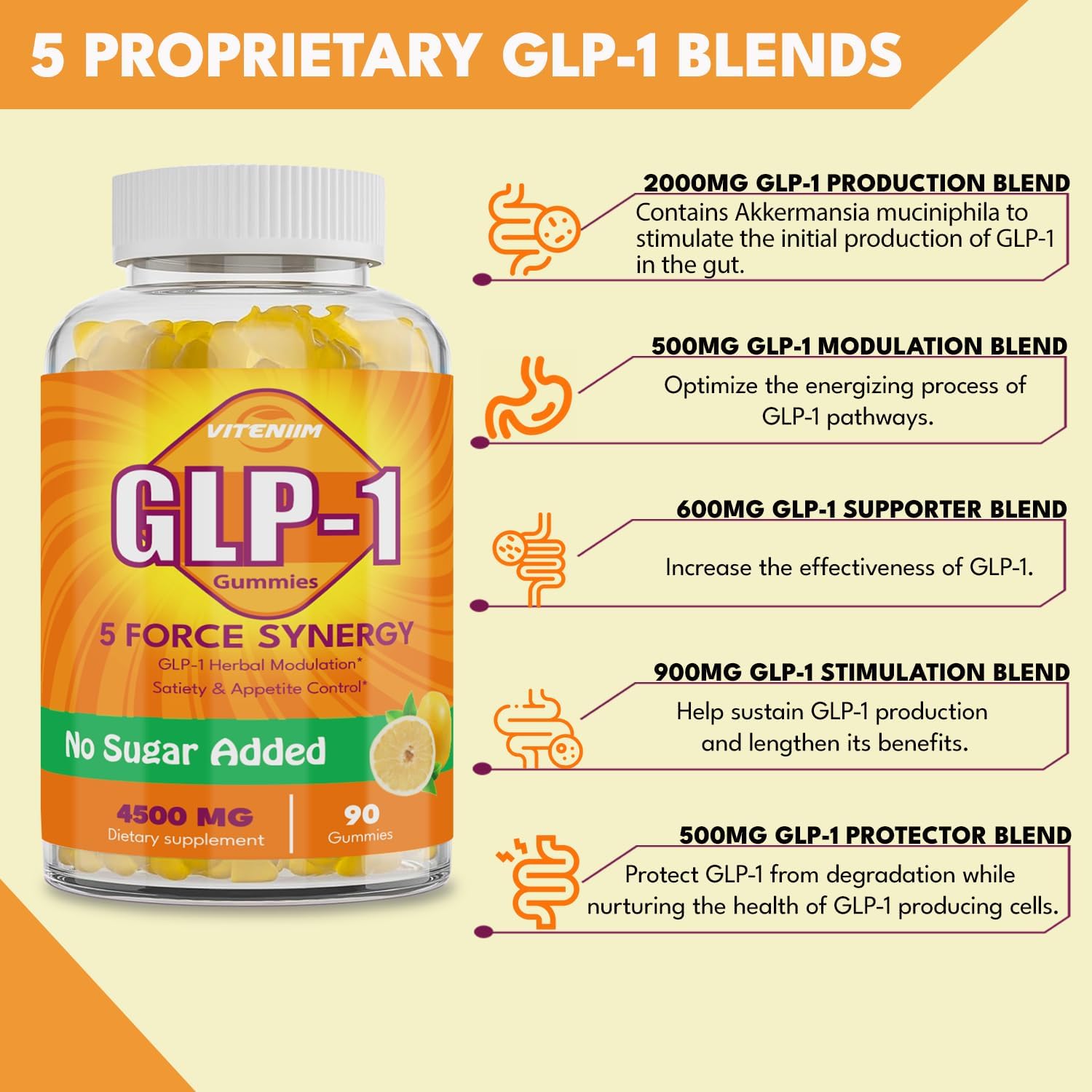 GLP ONE Probiotic Gummies – GLP-1 Supplement for Women & Men | with Berberine, Akkermansia, Magnesium & Turmeric | Zero-Sugar, Vegan Gut & Metabolic Wellness Supplement – 90 Count - Image 3