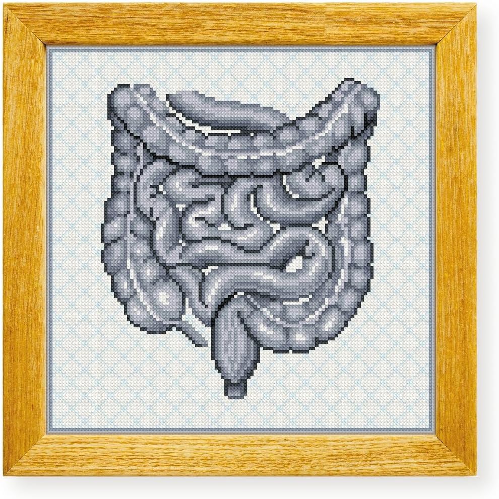 Awesome Pattern Studio Intestines The Human Anatomy DS2070, Diamond Painting Kit, Diamond Art Kits for Adults, Full Drill 5D Diamond Dots Kits. All Items Included.
