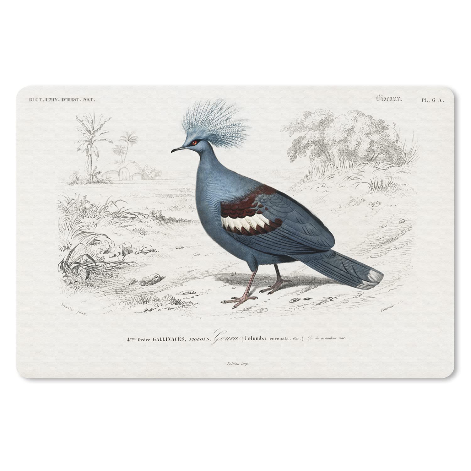 809083-091 HP 32GB (1x32GB) SDRAM DIMM Compatible Product by NETCNA