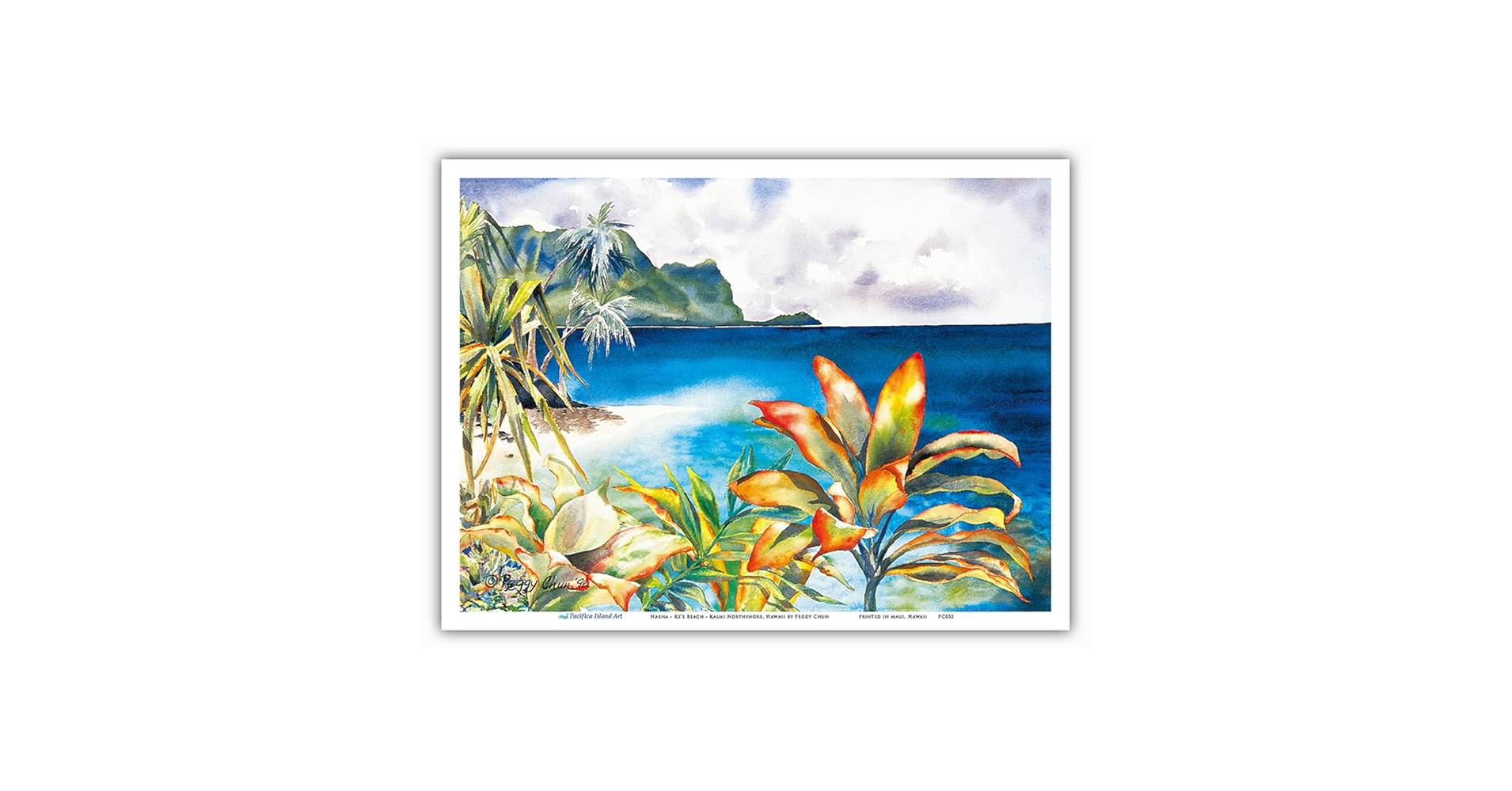 NORTH SHORE - OAHU 絵画 Sandy Beach Oahu Print| Hawaiian Shoreline Art Oahu Beach