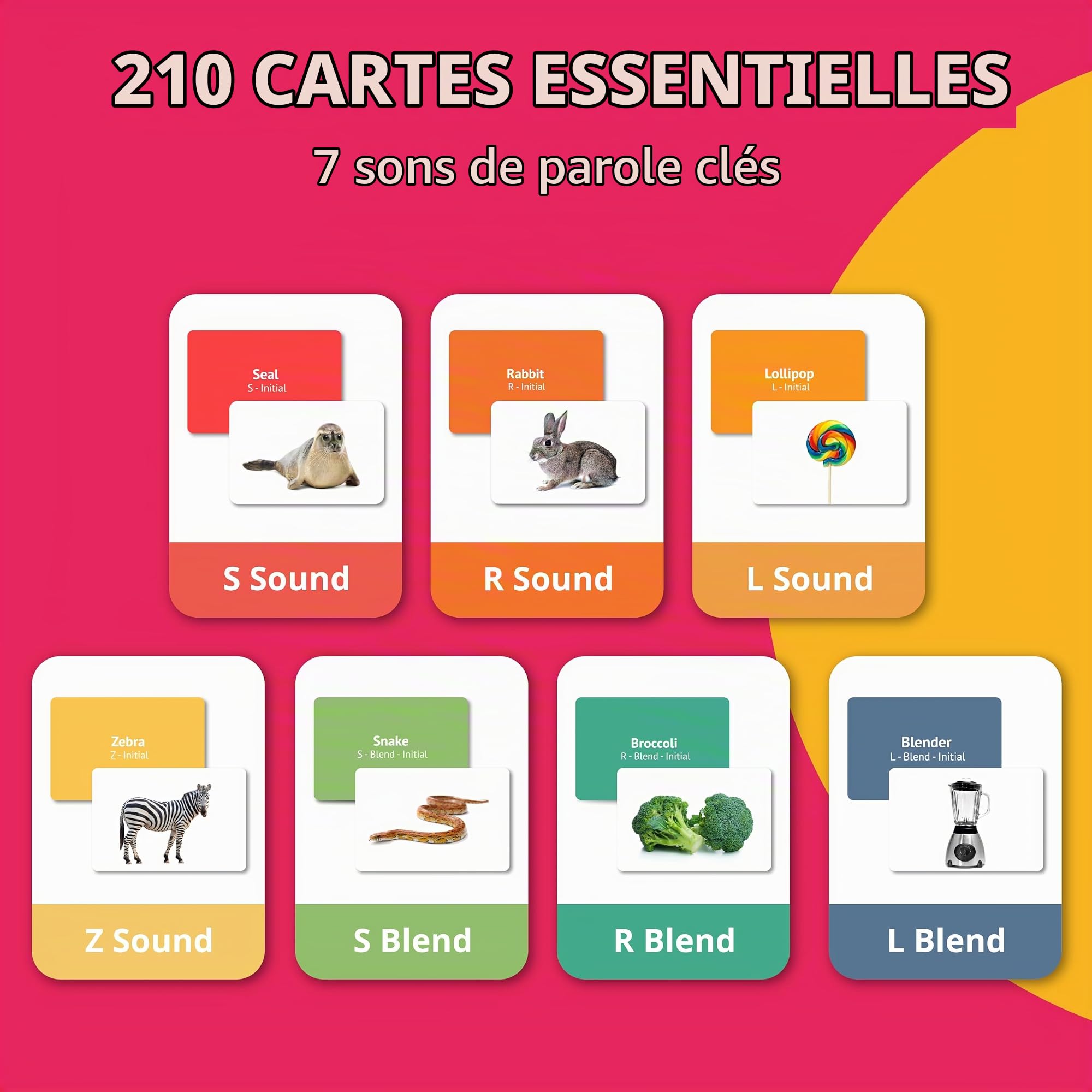 Picture My Picture Lot de 210 cartes flash articulées – Outil d'orthophonie pour vocabulaire, communication et pensée, résistant aux rayures avec guide d'activités, convient pour l'éducation, l'ESL et