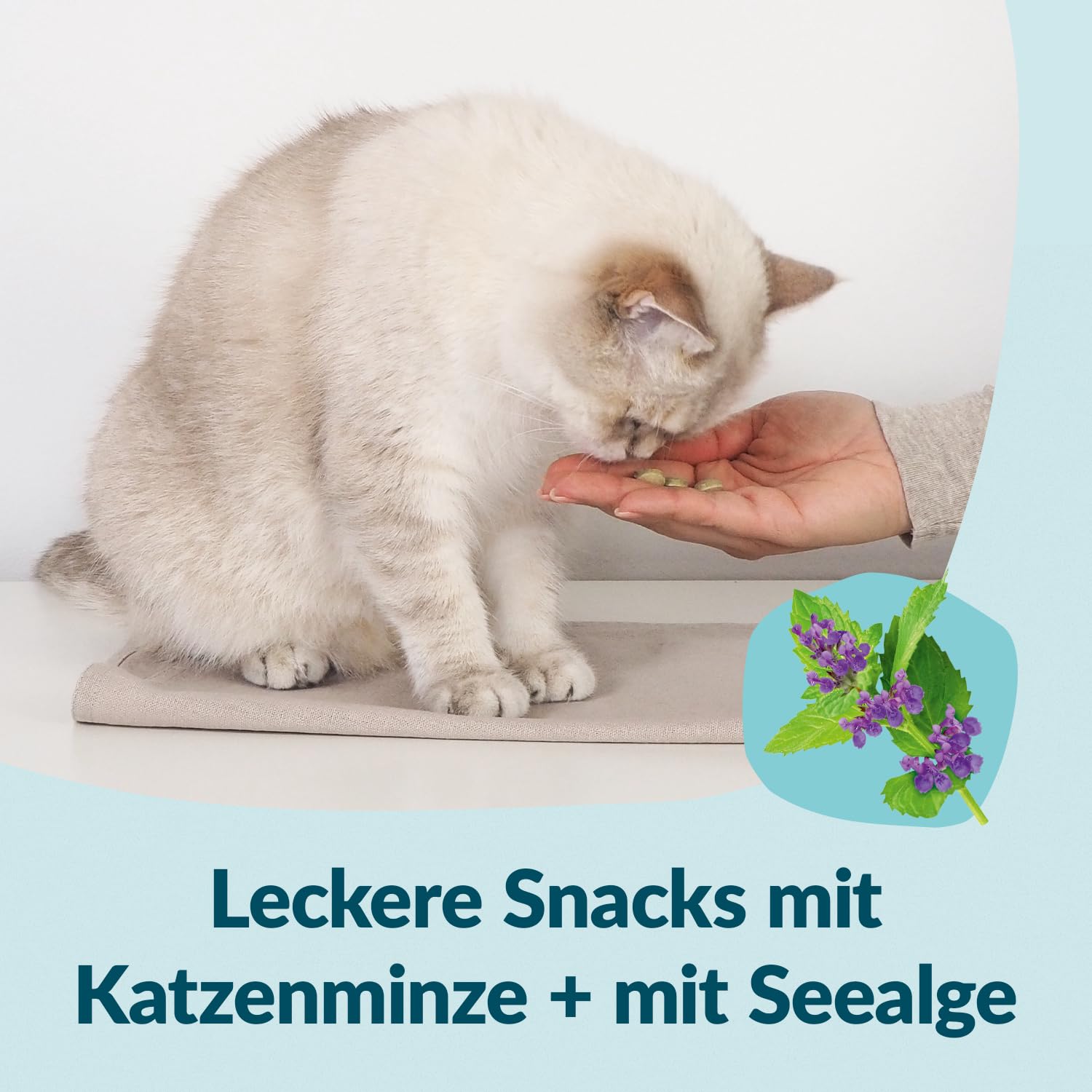 GimCat Nutri Dental Bites – Delicioso Aperitivo con una Receta específica para el Bienestar de tu Gato – 1 Bolsa (1 x 40 g)