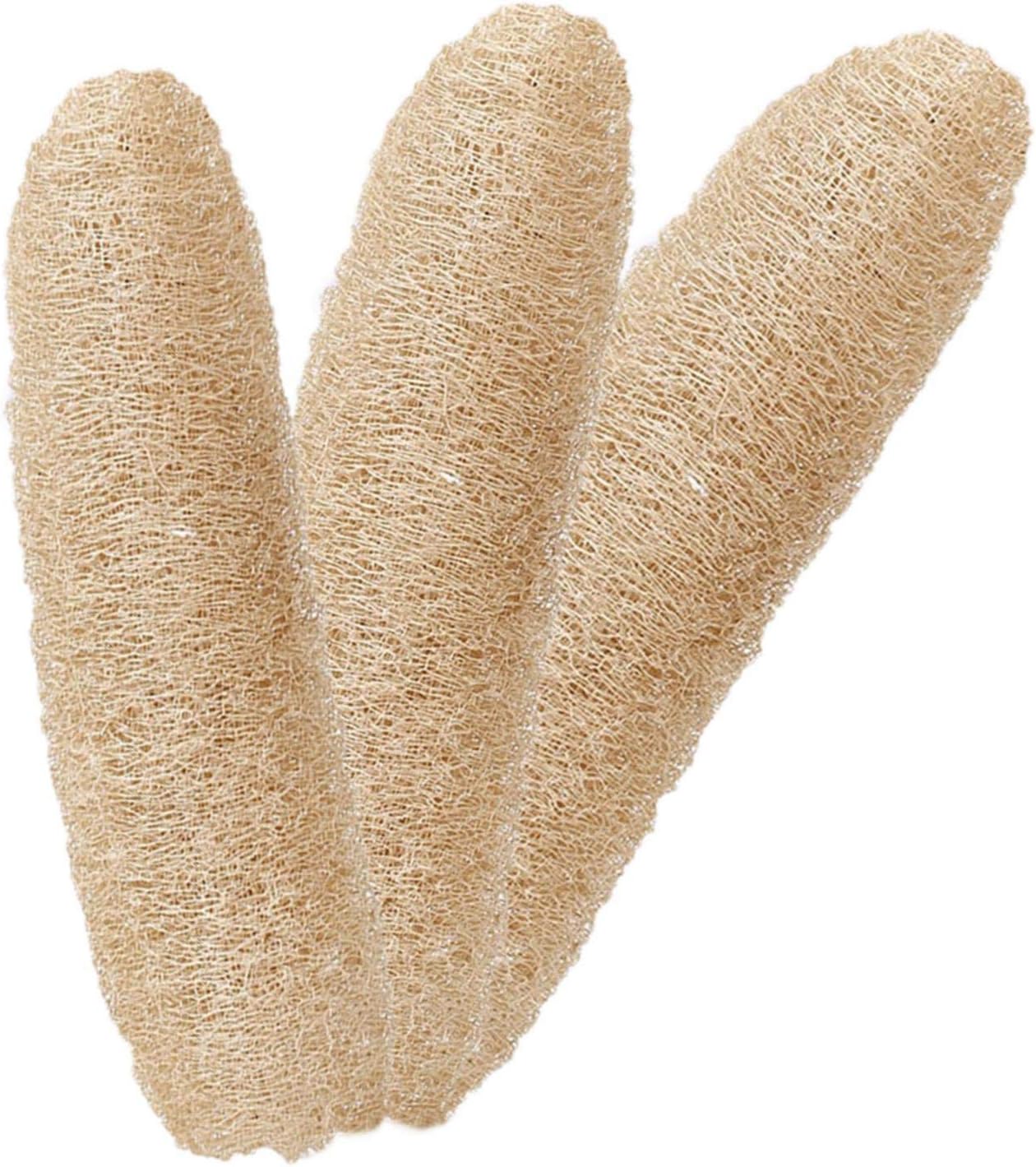 3 Pièces Loofah Naturel Entier Loofah, Brosse éponge Naturelle pour Le Corps, Luffa