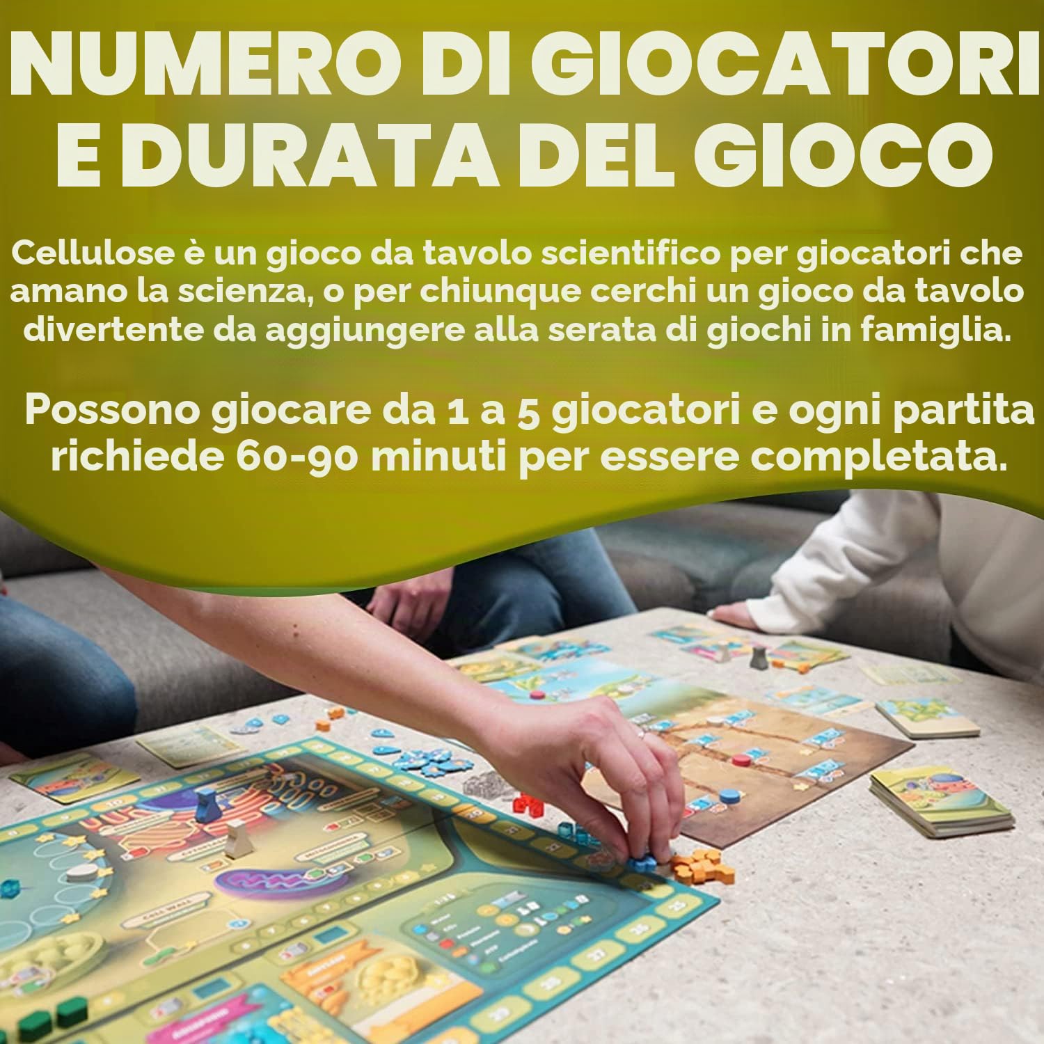 Cellulosa: un gioco di biologia cellulare vegetale | Gioco strategico e divertente consigliato da MENSA per imparare la fotosintesi, il DNA e la biochimica | Gioco da tavolo STEM educativo per