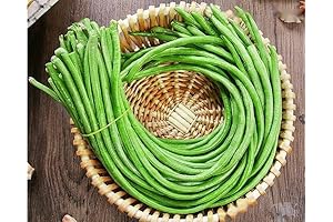 Pole Bean Seeds for Planting Vegetables and Fruits-Chinese Yard Long Beans