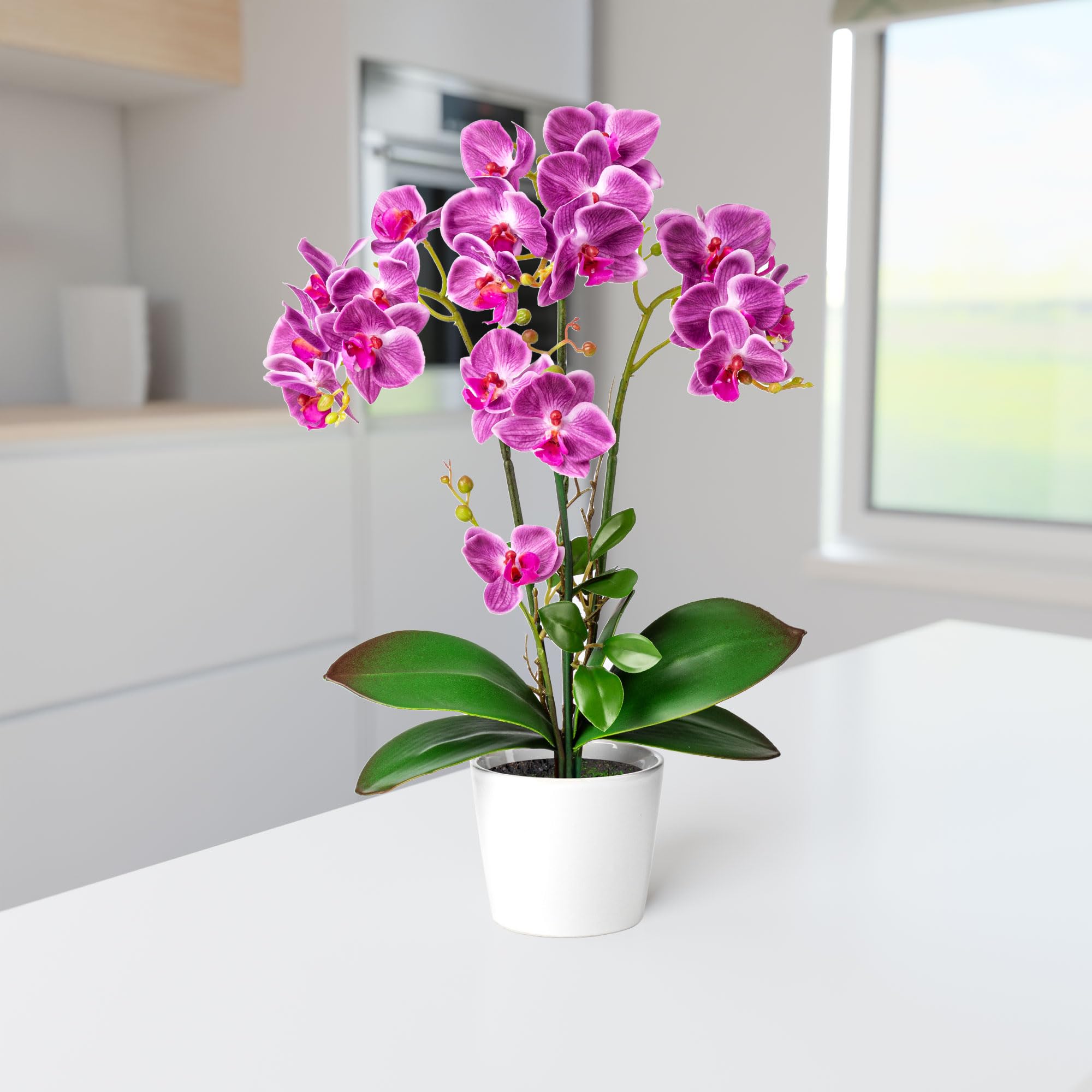 PASCH® Orchideen Künstlich in Hochglanz-Keramiktöpfen (46cm) | Kunstblumen Wie Echt | Künstliche Orchideen im Topf (Lila)