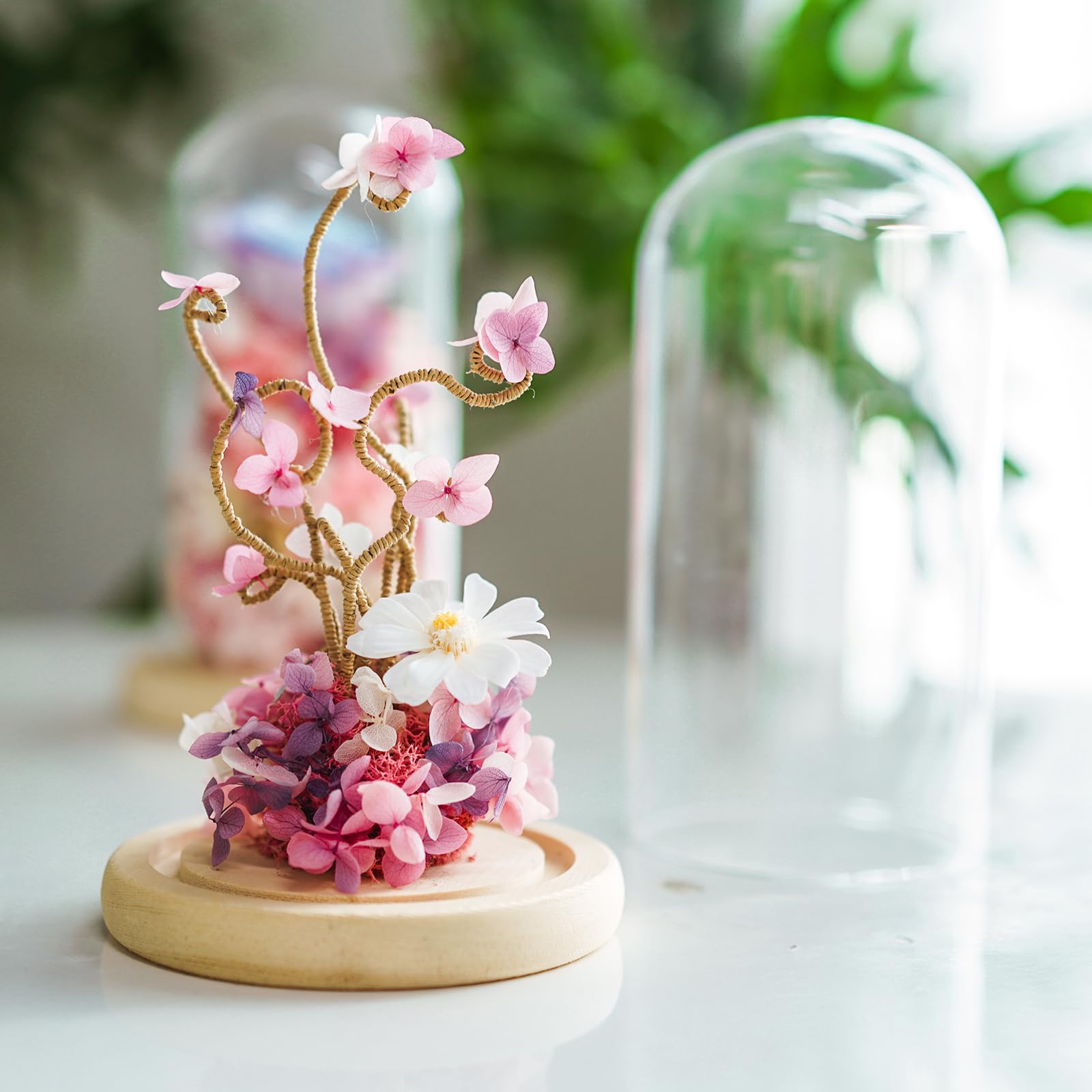 IVOLADOR I Glass Cloche Dome, Glass Display Cloche Case with Solid Wooden Base for Plants, 7" x 4" Medals Display, Antique Collectibles, Large Size Office Home Decoration( Base)