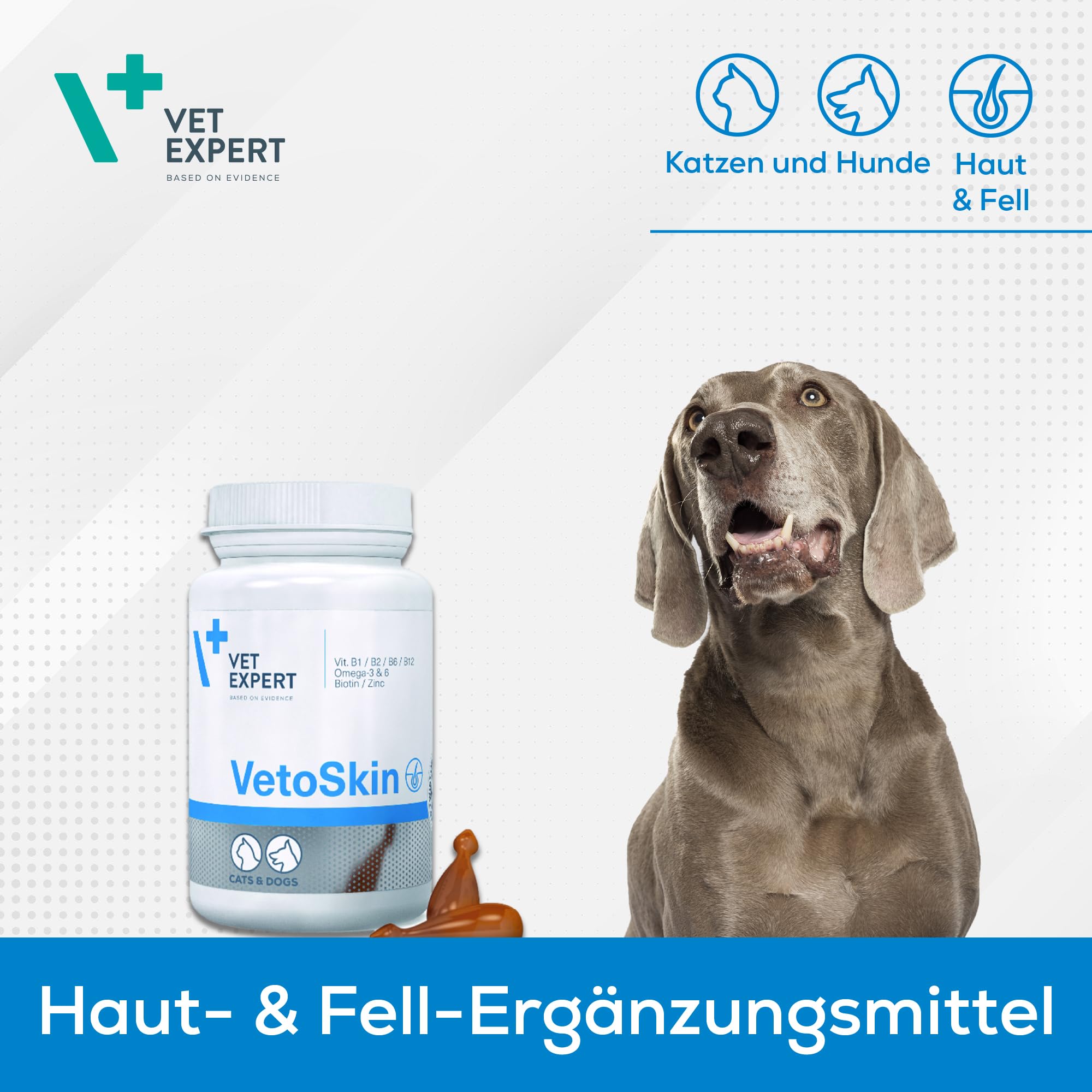 VETEXPERT VetoSkin | 90 Kapseln | Ergänzungsfuttermittel für Hunde & Katzen | Mit Omega-Fettsäuren & Biotin