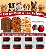 Ver la foto 6