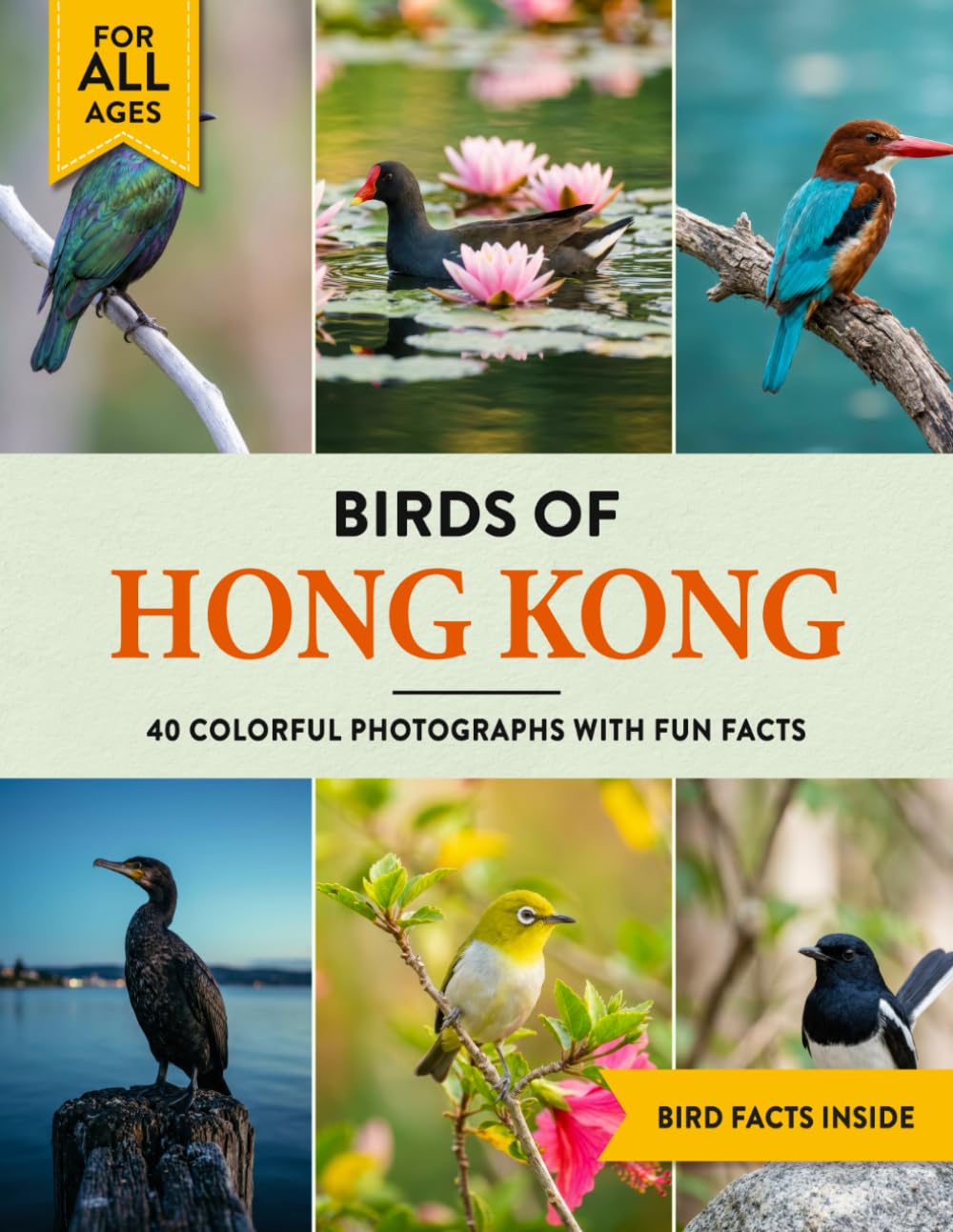 Birds of Hong Kong: A Birdwatching Picture Book with Fun Facts and Photography for Kids, Adults & Birders