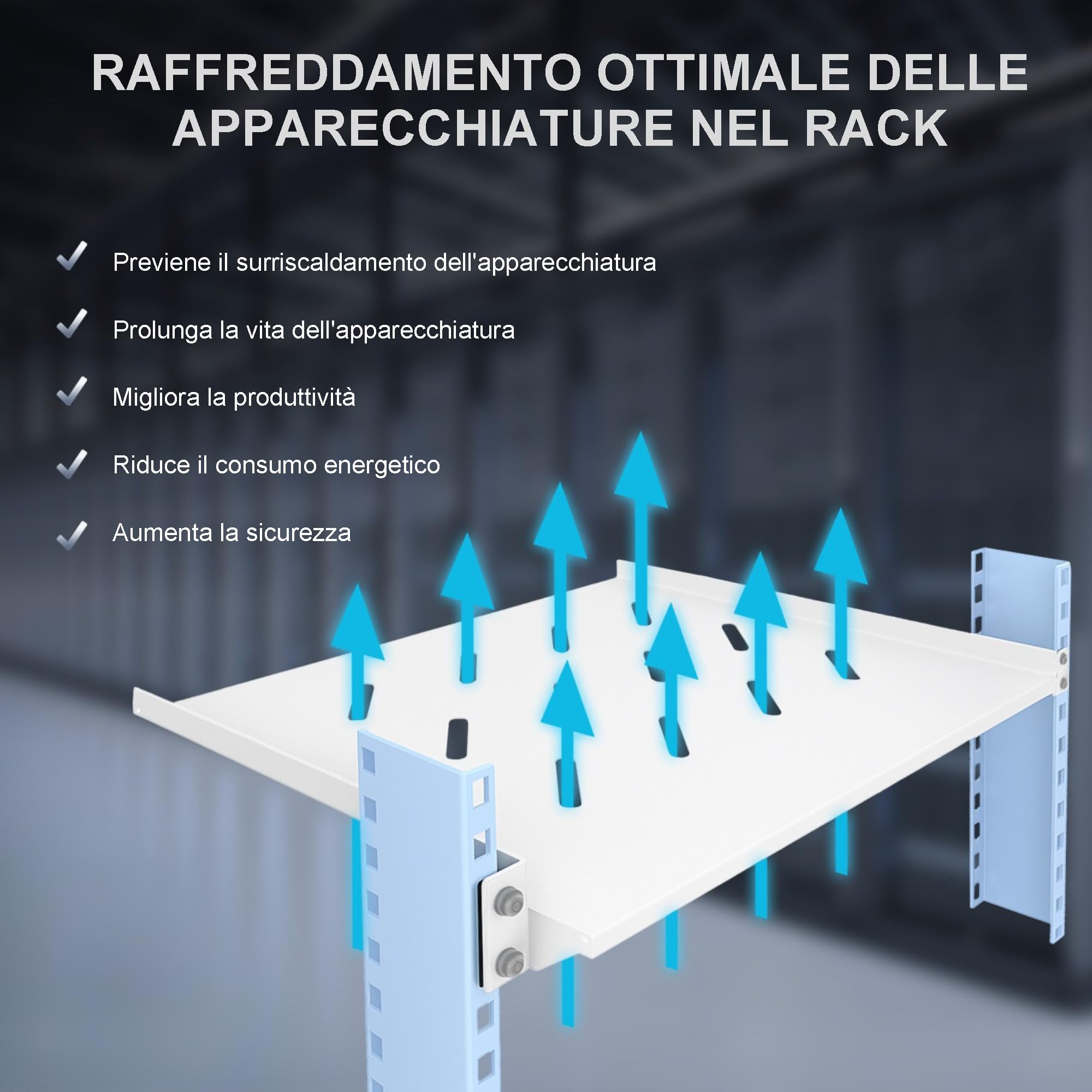 Extralnik Mensola Rack 19 1U, Profondità 300 mm, Acciaio, Max. 20 kg di Capacità di Carico, Montaggio Universale, per Armadi Server e Componenti IT, Kit di Montaggio Incluso, Grigio