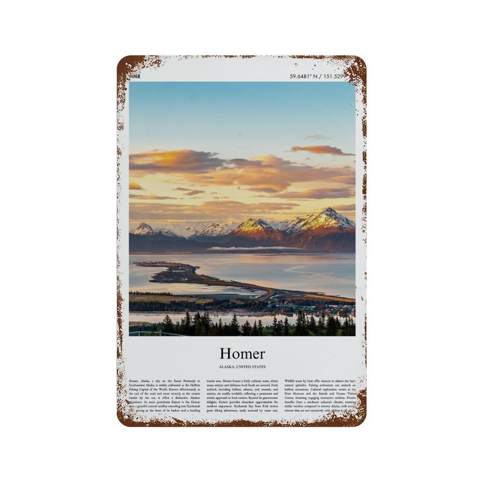 xiaoxiaoshen Homer Alaska, United States, USA City Scenery Wall Decor Art Metal Tin Poster Modern Home Decor Art Home Bar Shop Decorations Vintage Sign 30x20cm