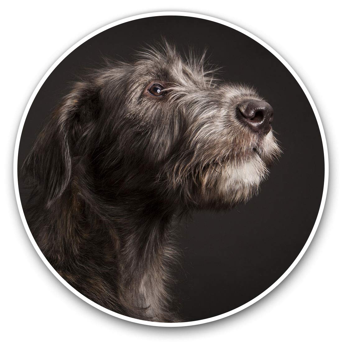 Vinyl Stickers (Set of 2) 10cm - Irish Wolfhound Dog Breed Decals for Laptops,Tablets,Luggage,Scrap Booking,Fridges, 12573
