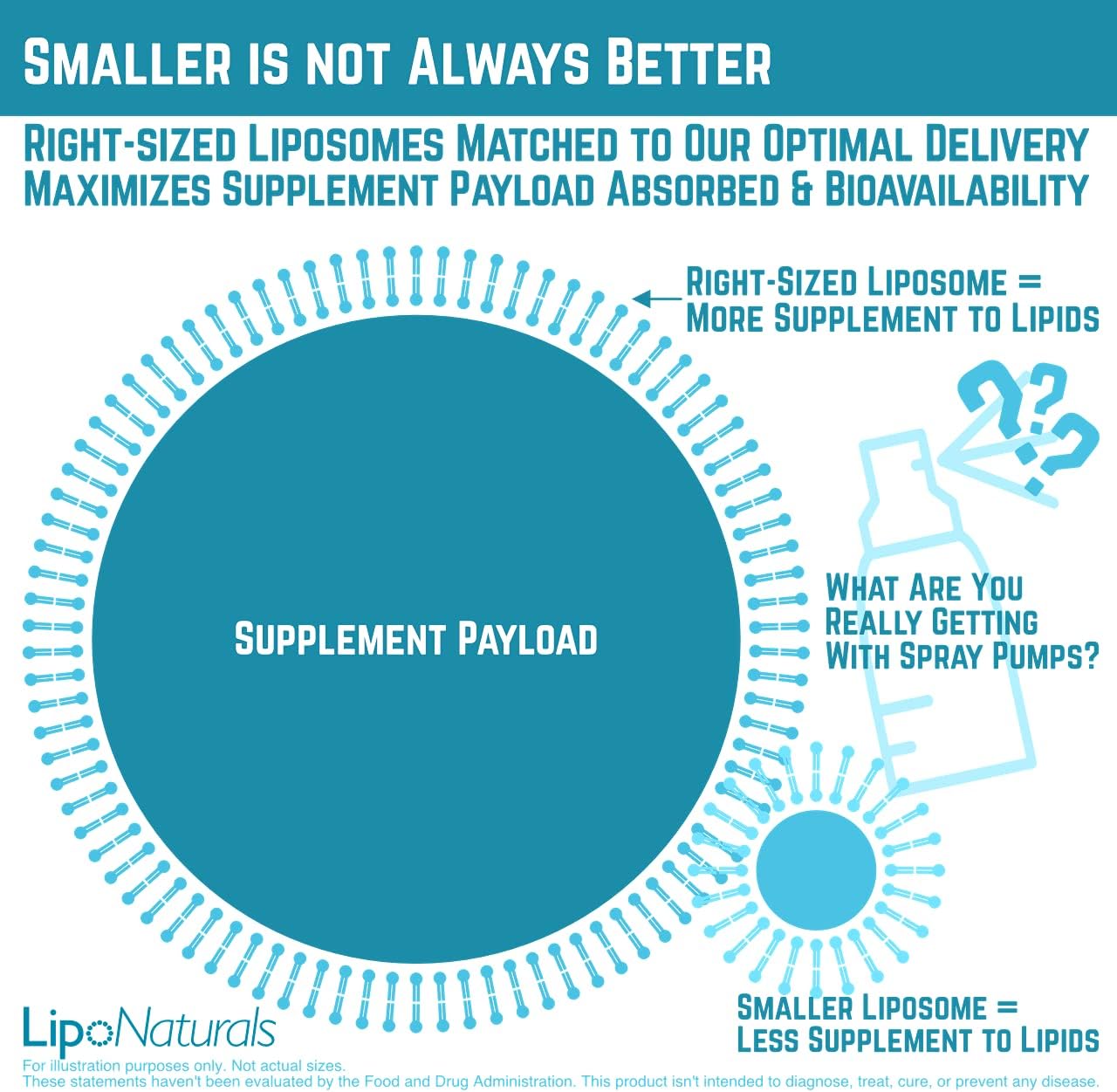 Lipo Naturals Liposomal Glutathione Antioxidant Complex 15oz | 100% China-Free | No Artificial Preservatives | No Soy | 30 Doses (15oz) | Non-GMO | Made in U.S.A : Health & Household