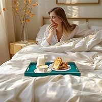 Vista 73 de MAONAME Bandeja de servir azul real con asas, bandeja decorativa rectangular, bandejas modernas para mesa de café, bandejas otomanas de plástico