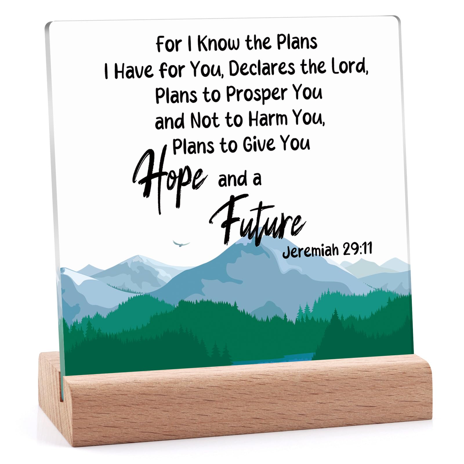 Inspirational Gifts Desk Decor Signs Christian Acrylic Plaque with Wooden Stand Religious Home Decor Encouragement Spiritual Gifts Faith Easter Christmas Bible Verse Prayers Gift for Friend Coworker