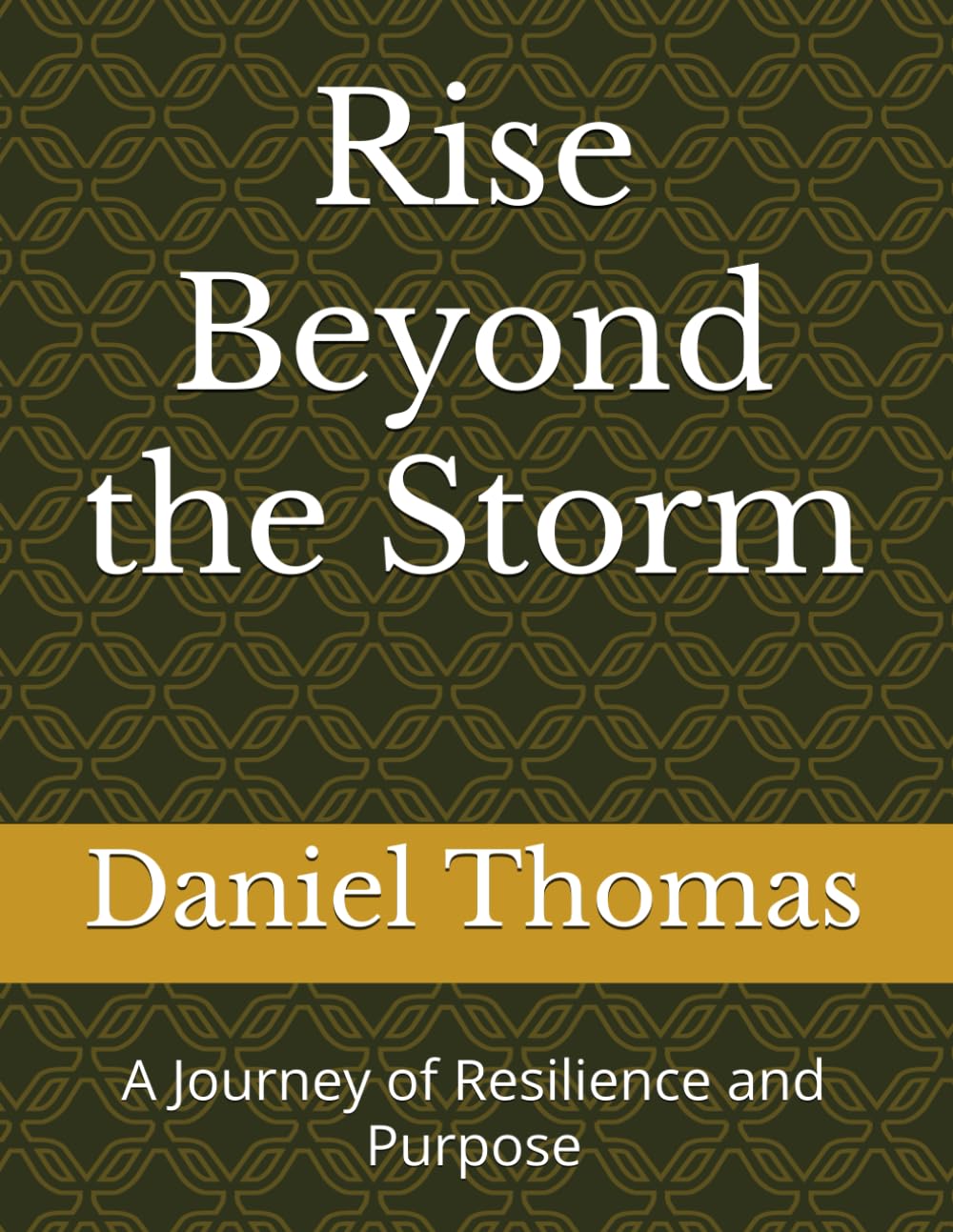 Rise Beyond the Storm: A Journey of Resilience and Purpose