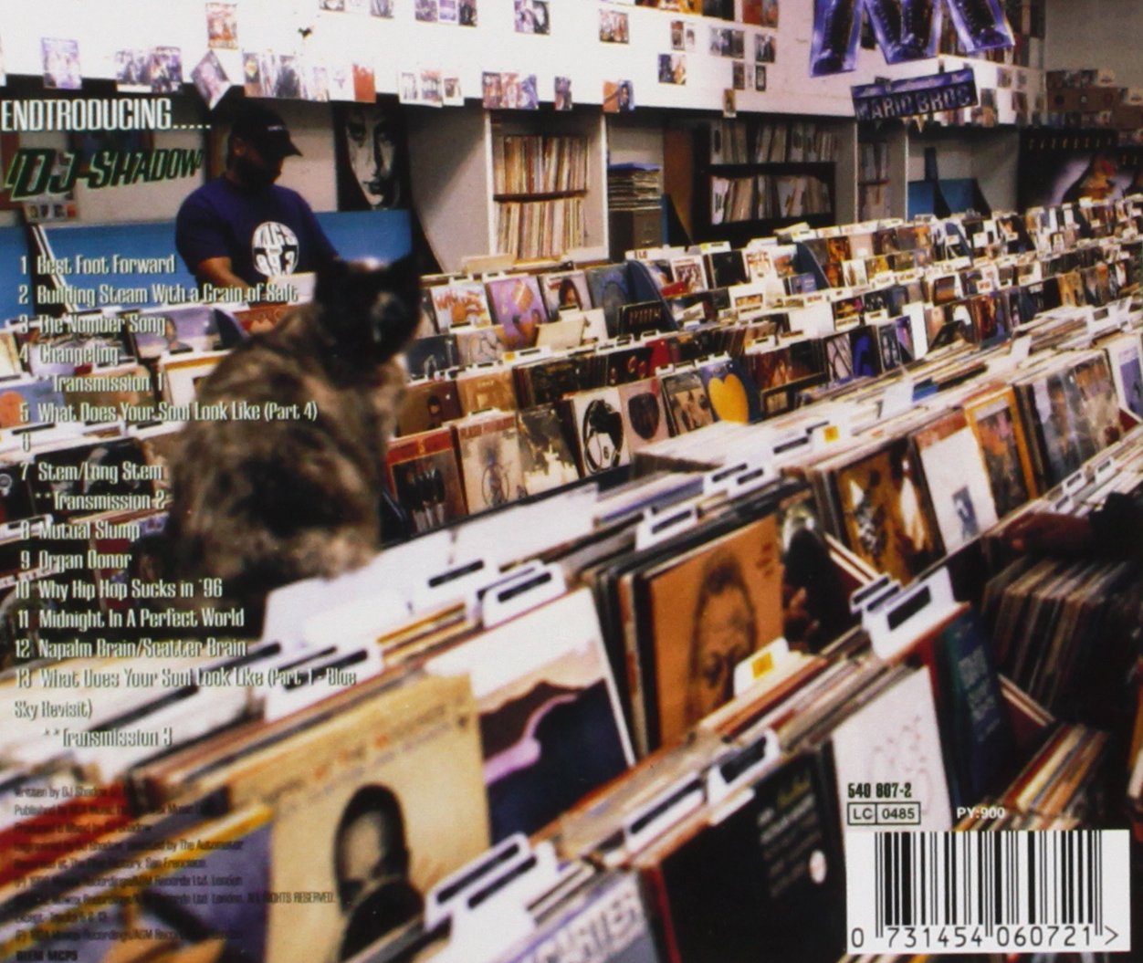 Endtroducing