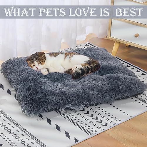 Miniatura 3 de Cama lavable para perros y gatos de tamaño extra grande, mediano y pequeño, para interiores, calmante, cómoda, esponjosa, con calefacción, sofá y