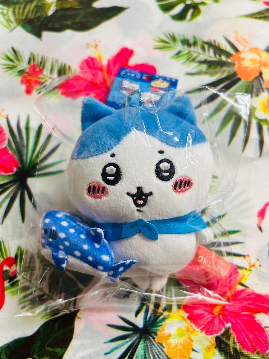 Amazon.co.jp: ご当地 沖縄限定 ちいか ジンベエザメ ぬいぐるみ キー