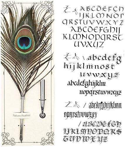 Miniatura 2 de Juego de bolígrafos de plumas de pavo real, caligrafía antigua, bolígrafo de inmersión de tinta con soporte, tinta y 5 puntas de repuesto en caja de