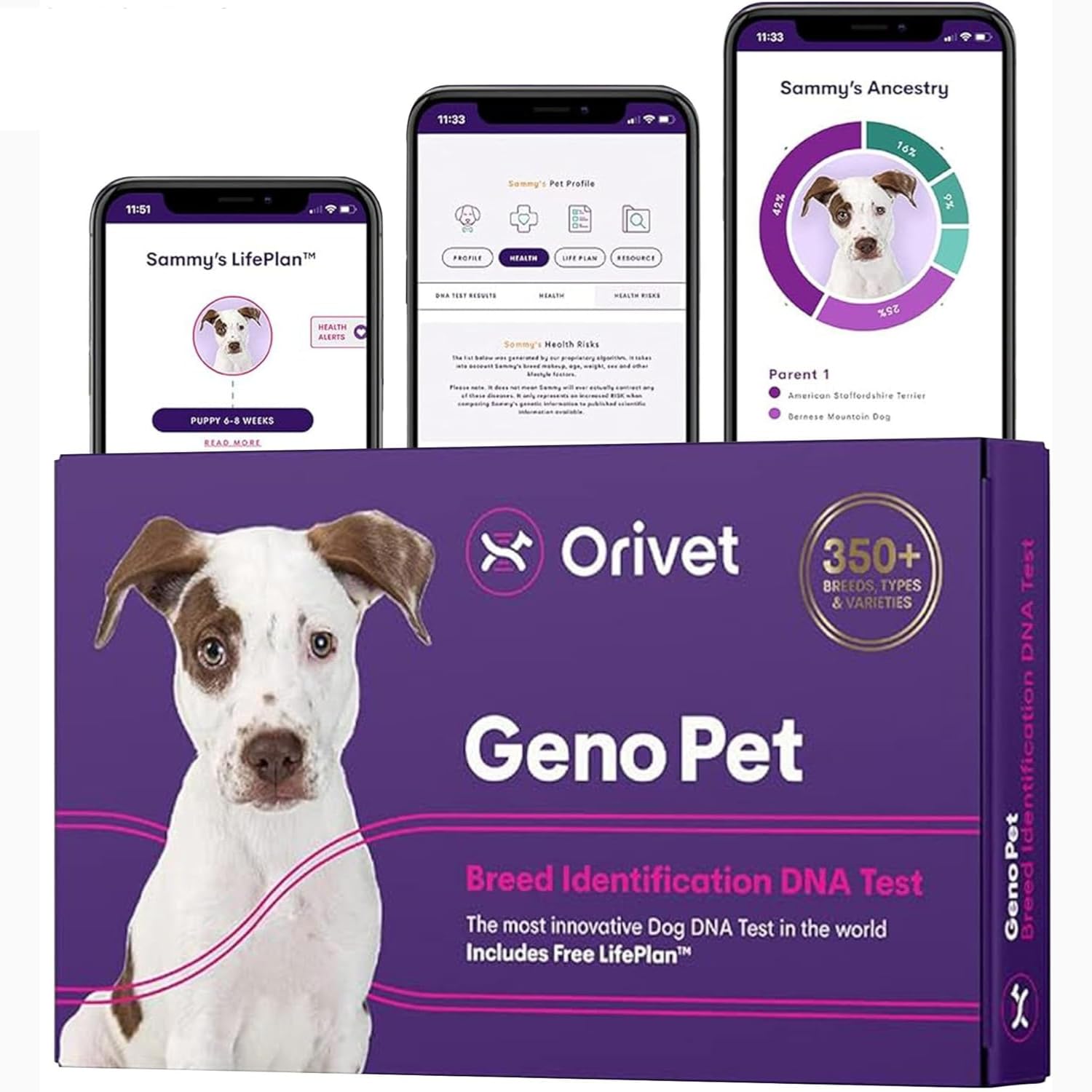 ORIVET Dog DNA Test Kit