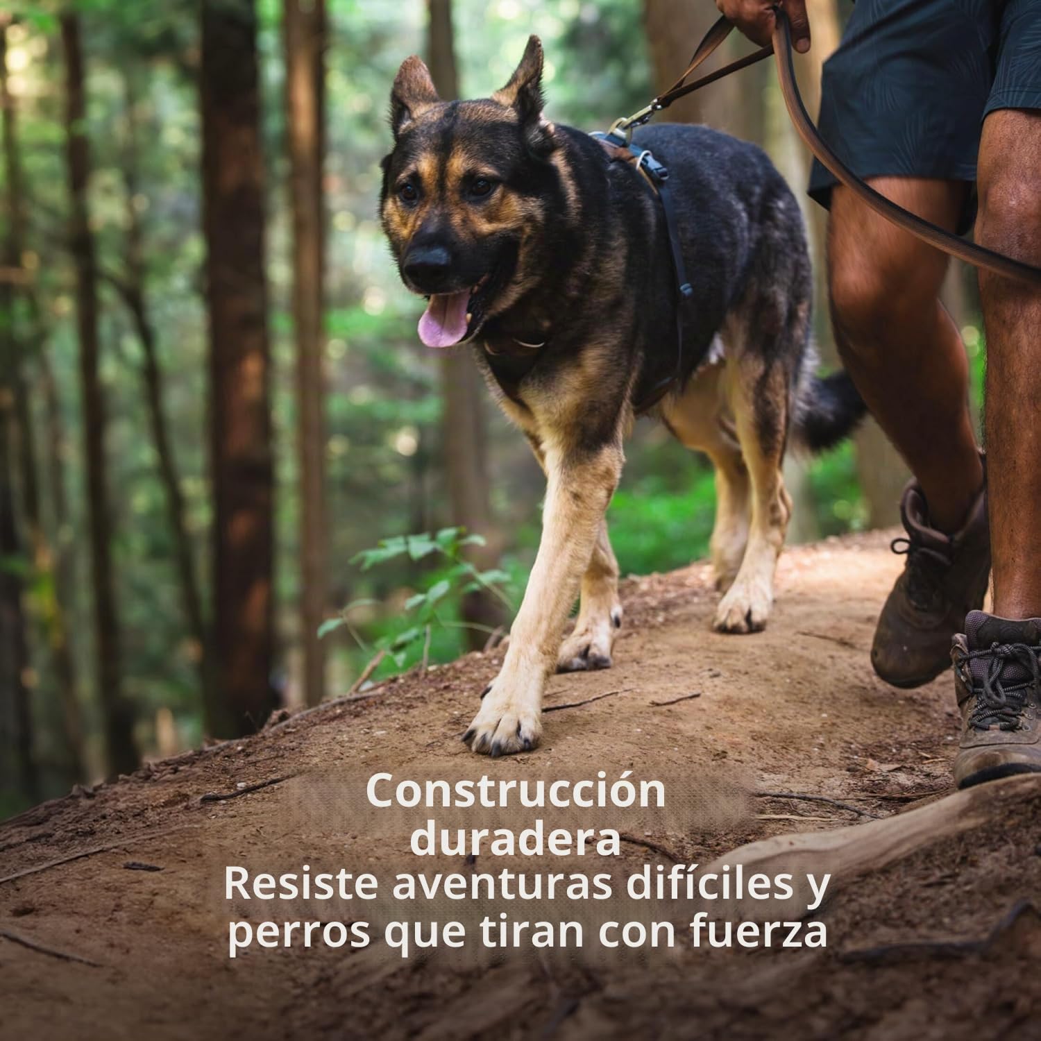 RUFFWEAR Front Range - Arnés para Perros pequeños, arnés Reflectante en Y, Ajustable, cómodo y Acolchado, arnés para pasear al Perro, sin tirones, 2 Accesorios de Correa y Anillo en V, Talla S, Gris
