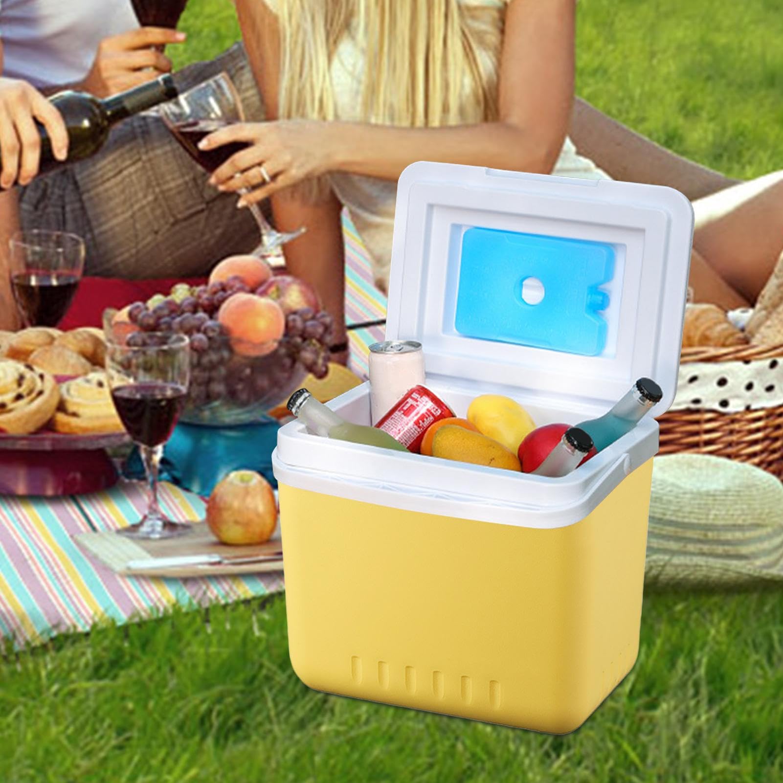 Refrigeratore isolato da 6 litri, portatile, a prova di perdite, con maniglia per il trasporto, mantiene il cibo e le bevande freddi per ore con impacchi di ghiaccio, ideale per campeggio, pesca