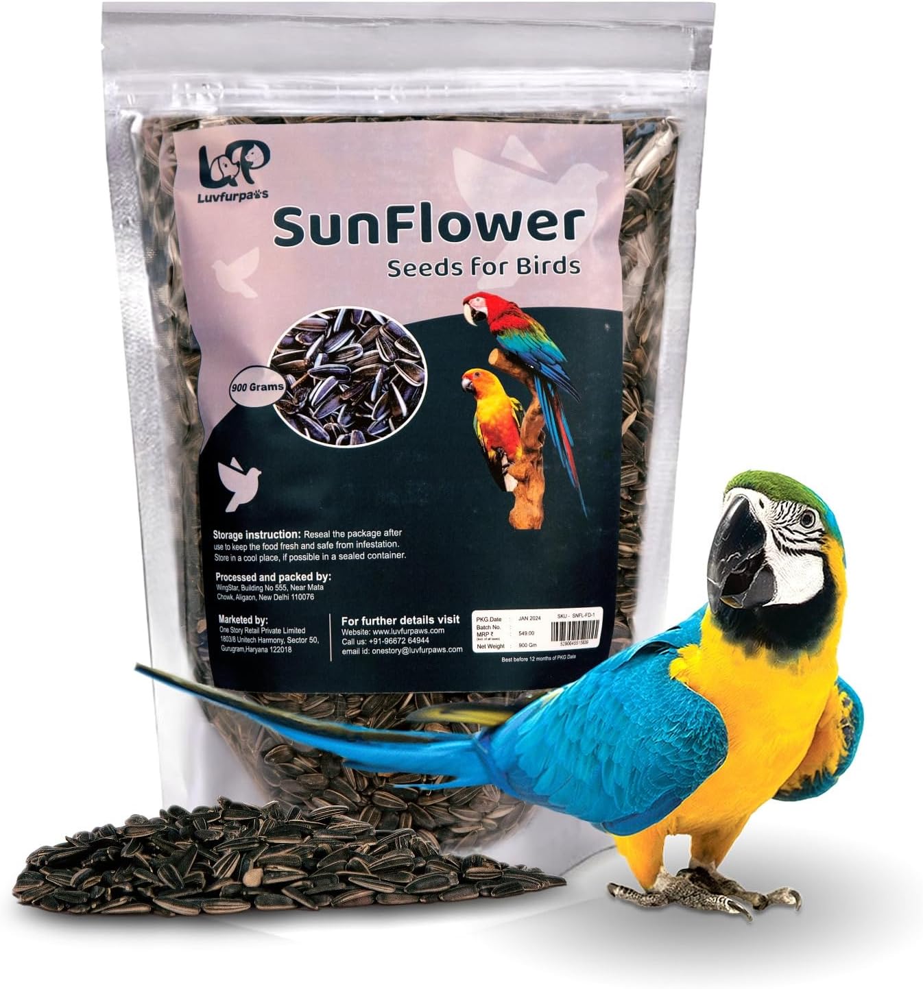 Buy Luvfurpaws Bird Food Striped Sunflower Seeds for Lovebirds