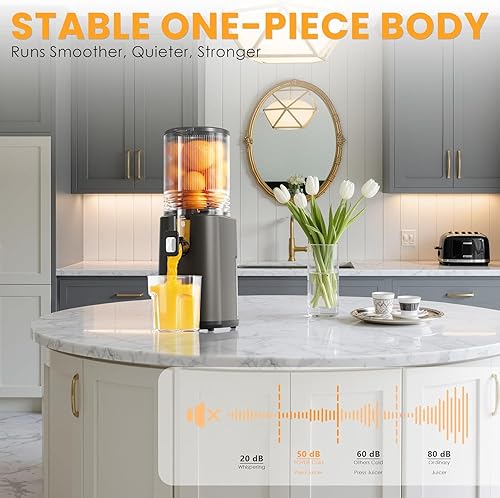 Miniatura 9 de Cold Press Juicer, 5.5inch Wide Feed Chute Juicer Machine, Slow Masticating Juicer for Whole Vegetables & Fruits, Gray