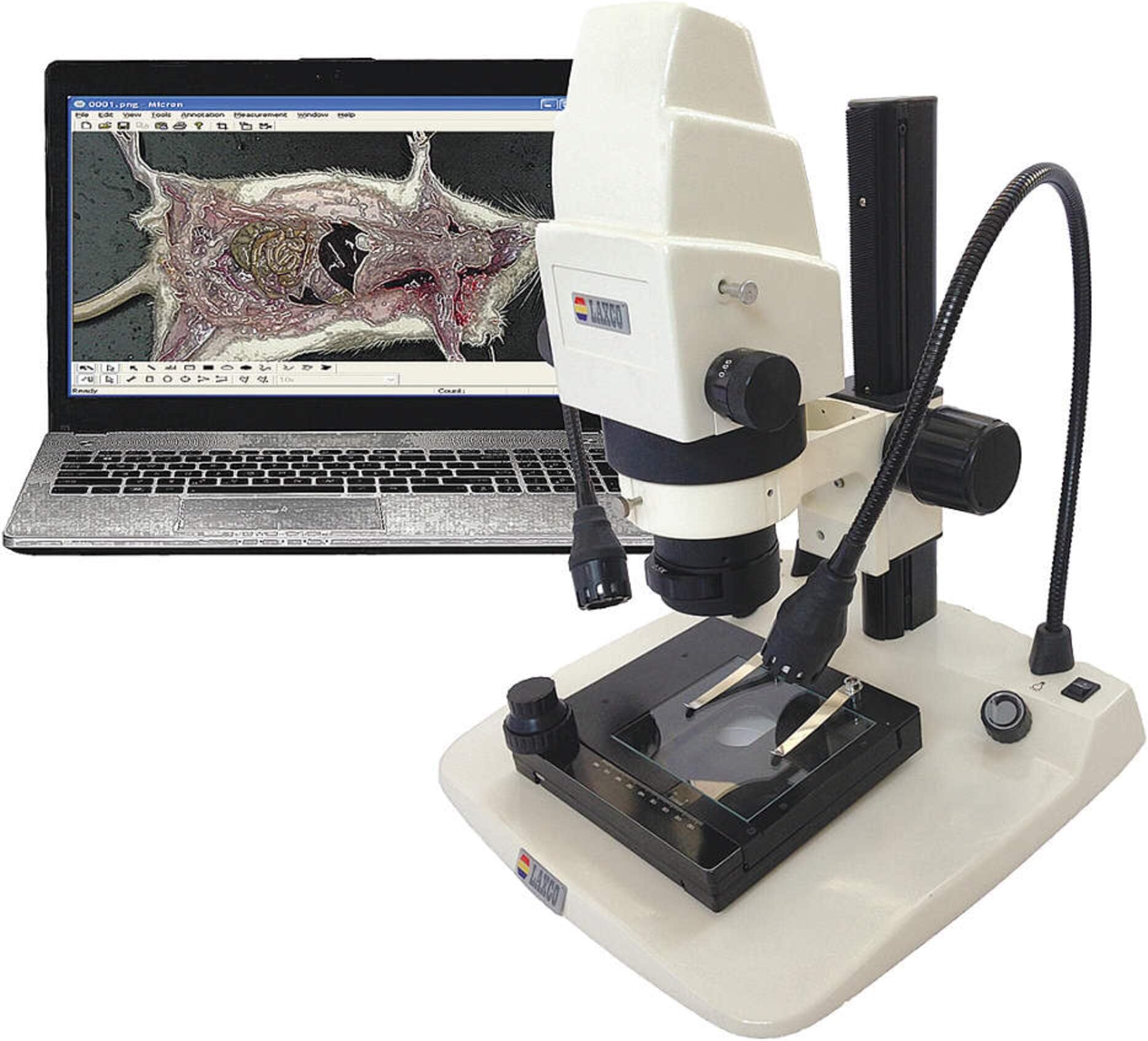 T40-MV2 Series T40 Stereo Microscope, 3MP Digital Head, 5.5X to 175X Magnification Range, 110V/220V